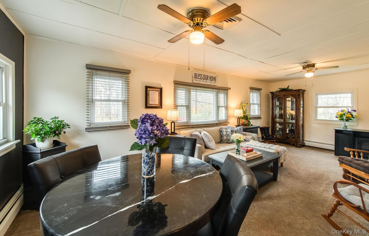 Single Family Ruskey  Dutchess County, NY 12538, MLS-933588-8