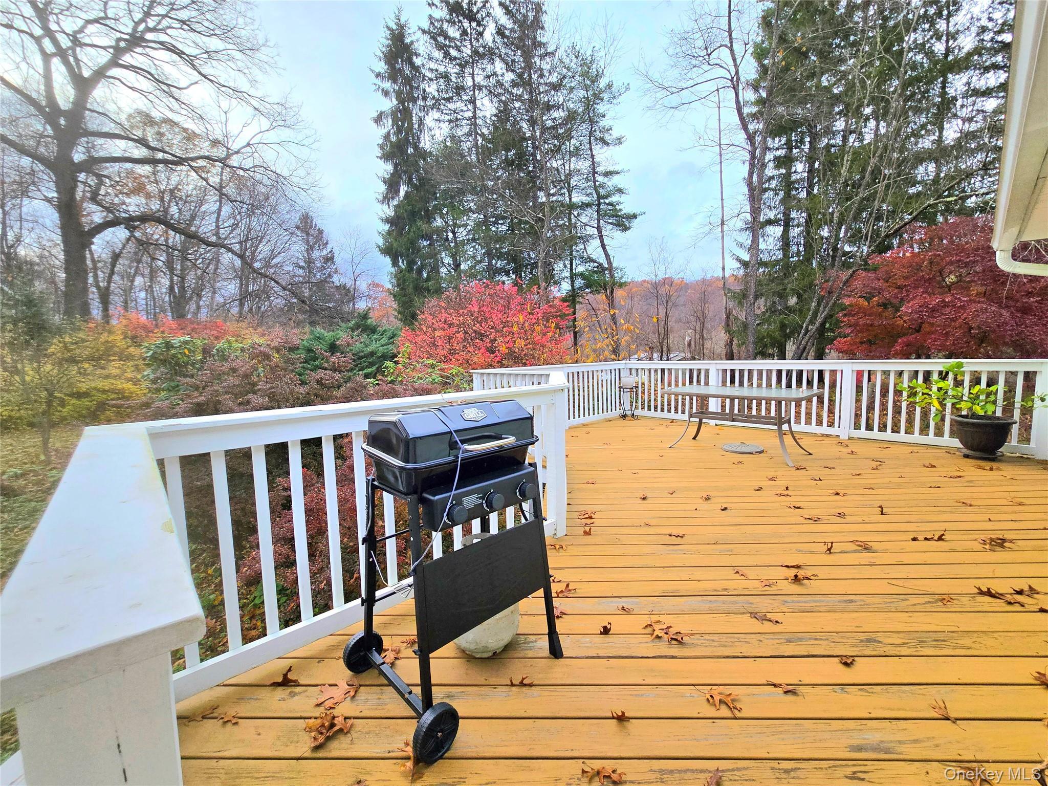 Single Family Quincy Putnam County, NY 10579, MLS-933605-4