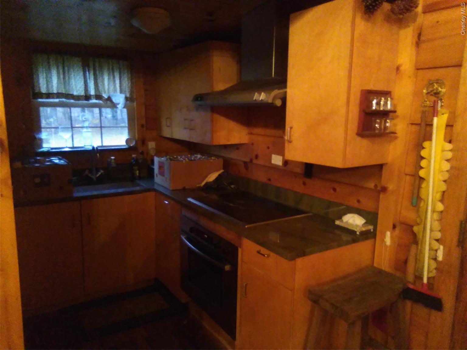 Single Family Champlin  Delaware County, NY 12093, MLS-933637-8