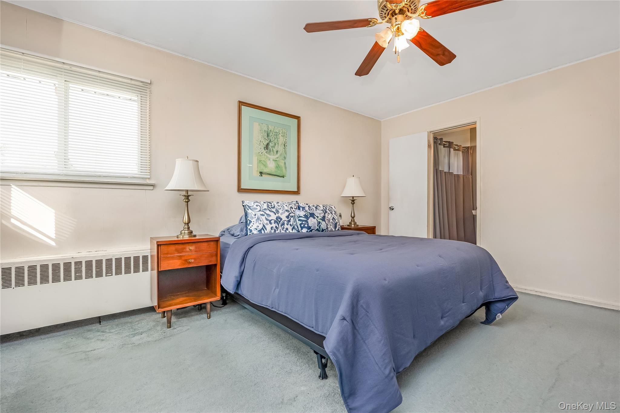 Single Family Idaho  Nassau County, NY 11758, MLS-933698-13