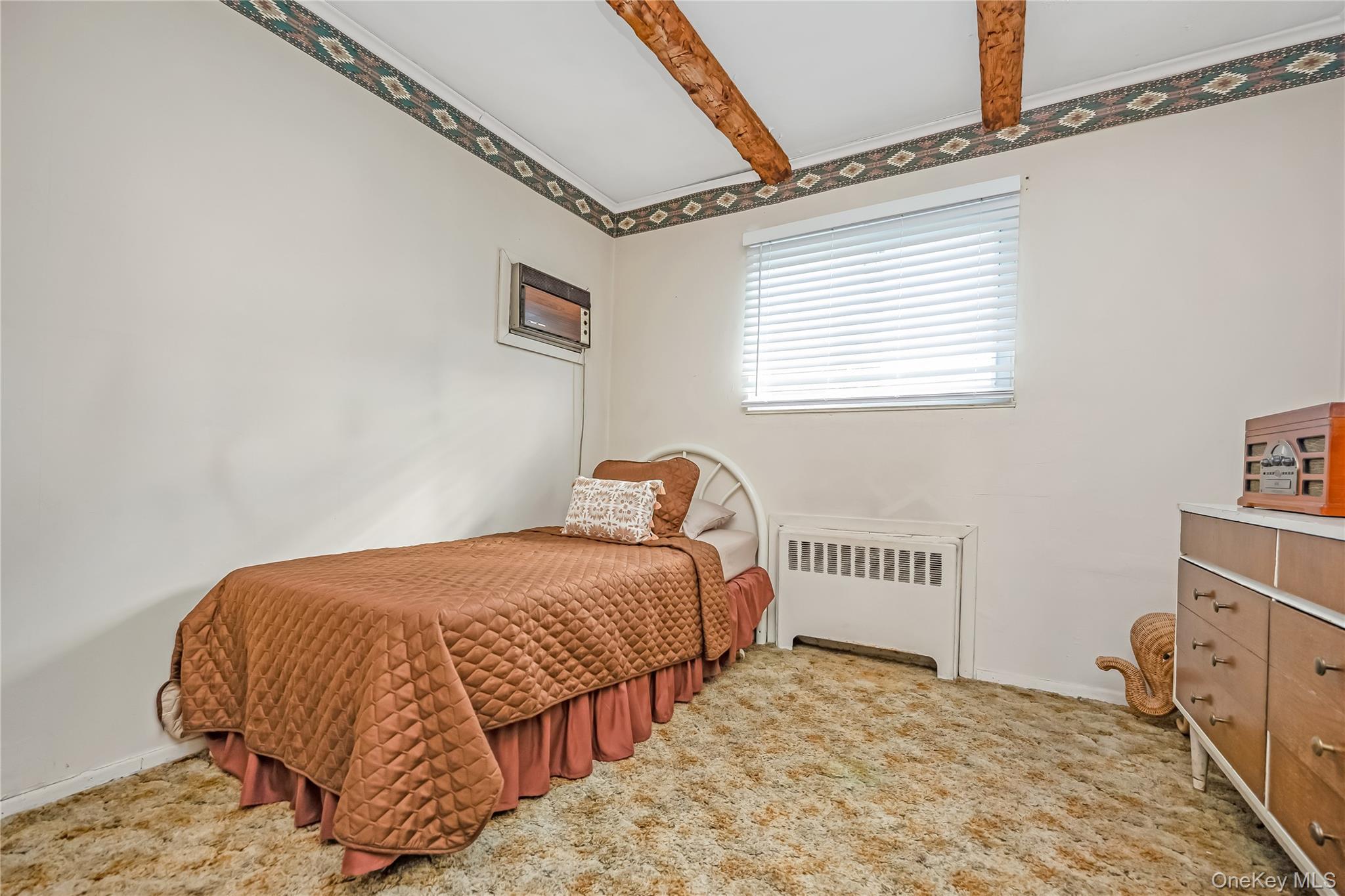 Single Family Idaho  Nassau County, NY 11758, MLS-933698-14