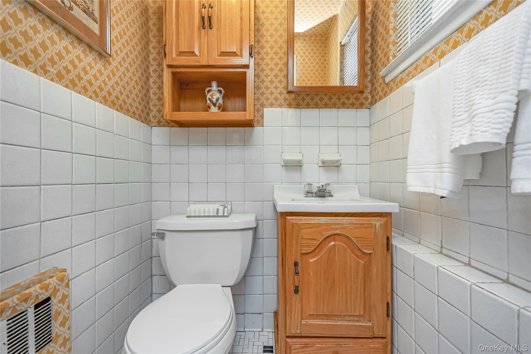 Single Family Idaho  Nassau County, NY 11758, MLS-933698-19