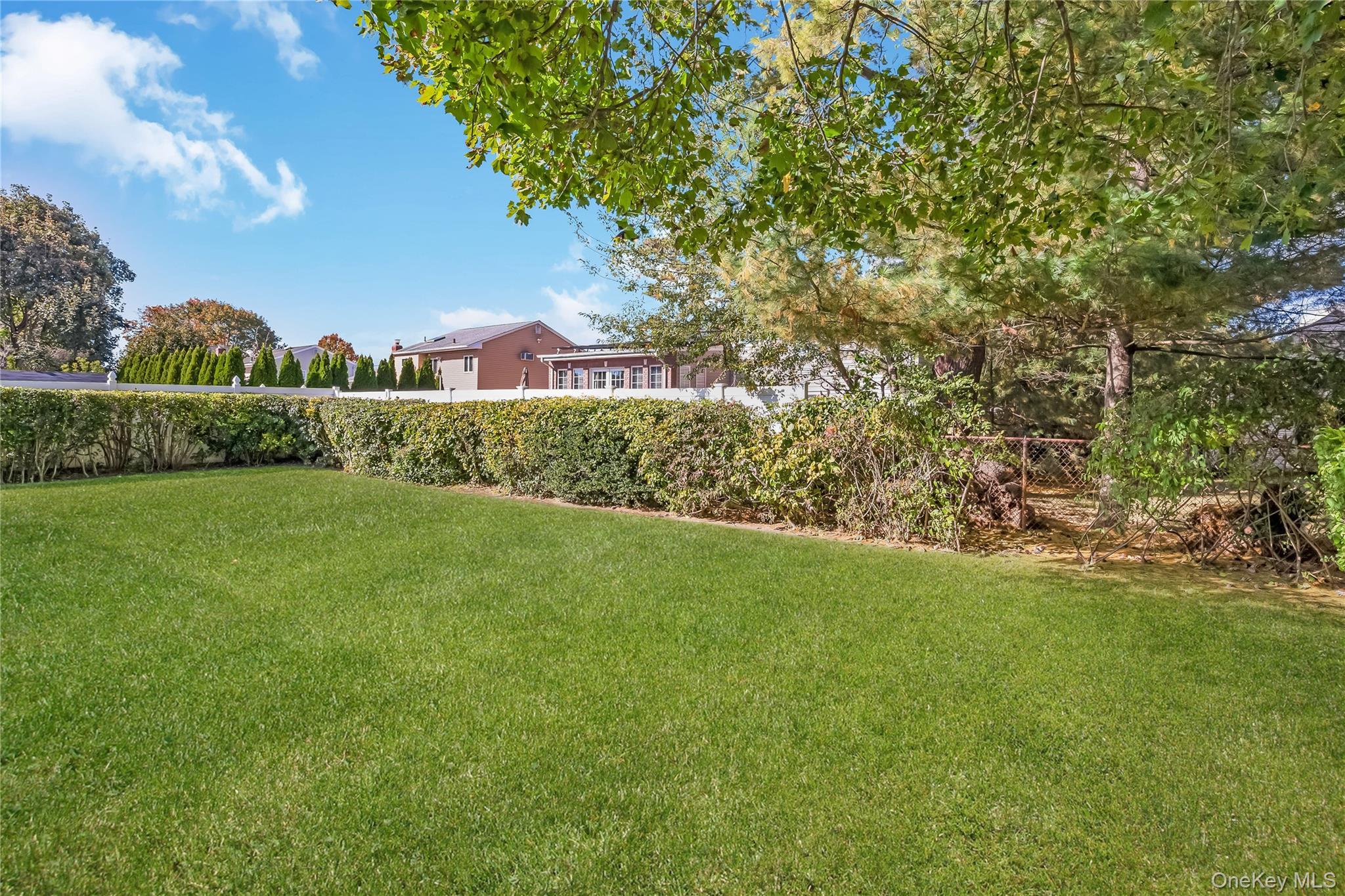 Single Family Idaho  Nassau County, NY 11758, MLS-933698-23