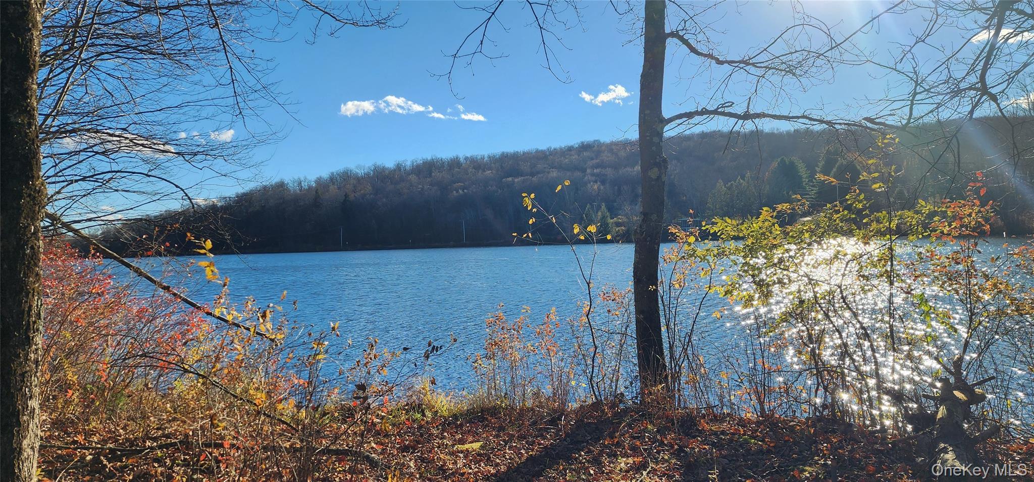 Single Family Kelly Bridge Sullivan County, NY 12783, MLS-933699-15