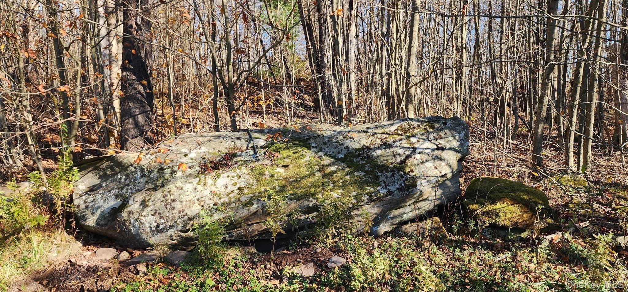 Single Family Kelly Bridge Sullivan County, NY 12783, MLS-933699-19