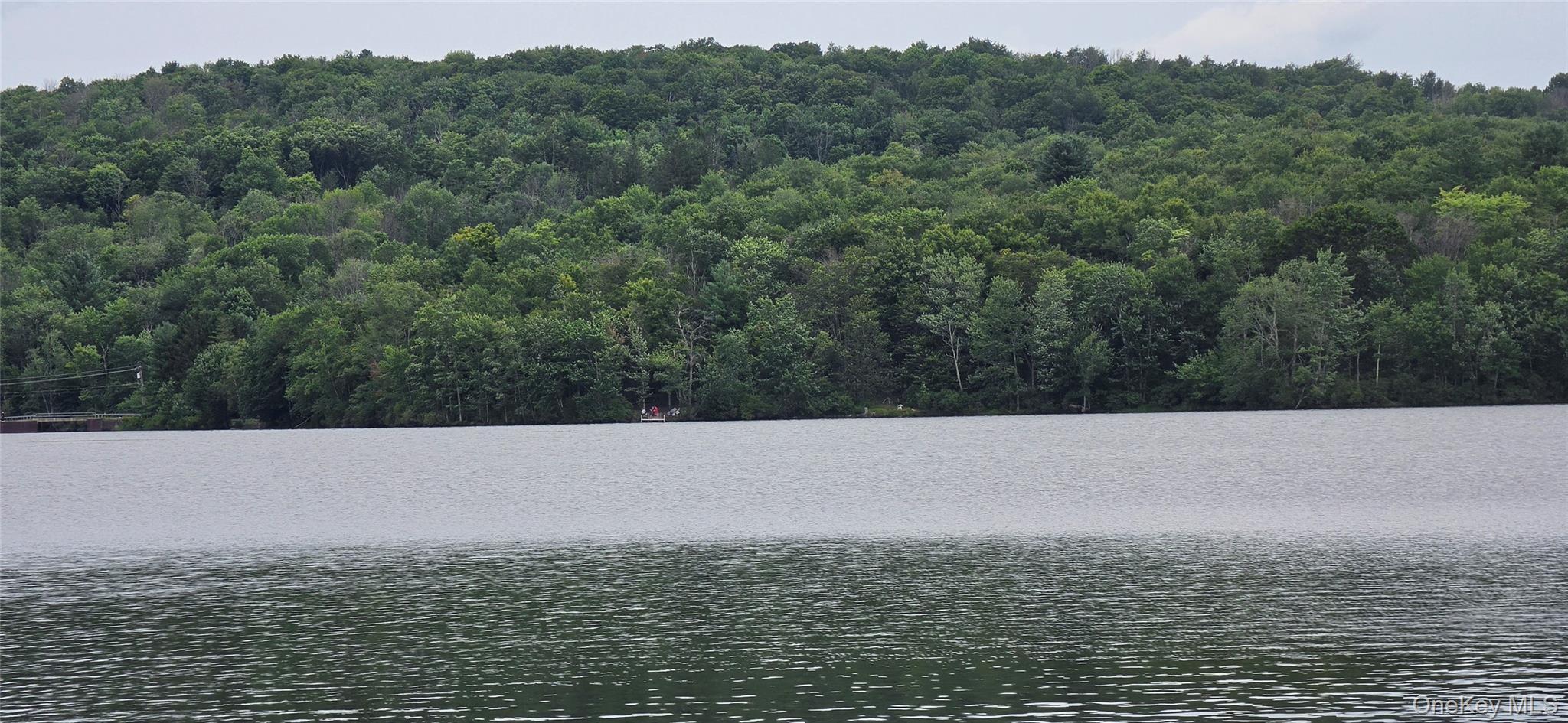 Single Family Kelly Bridge Road  Sullivan County, NY 12783, MLS-933699-44