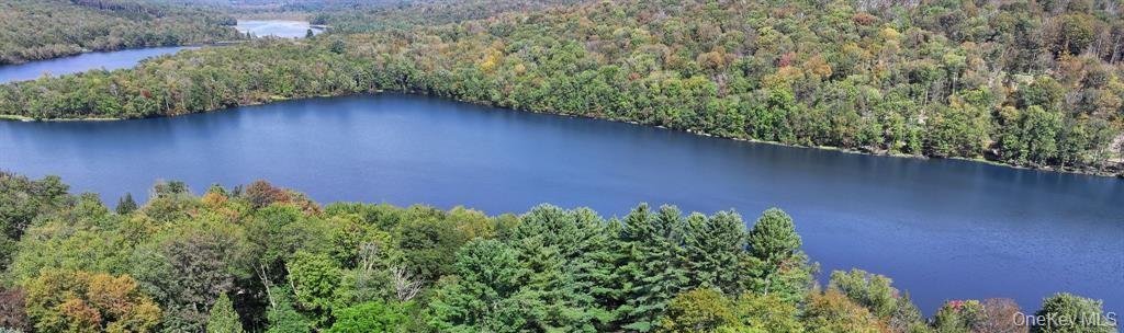 Single Family Kelly Bridge Road  Sullivan County, NY 12783, MLS-933699-45