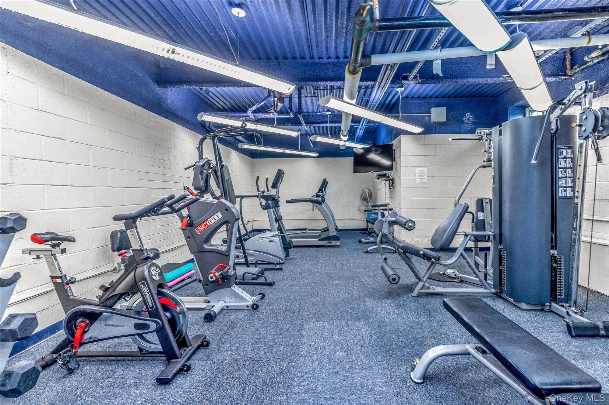 Coop Broadway  Nassau County, NY 11561, MLS-933735-17