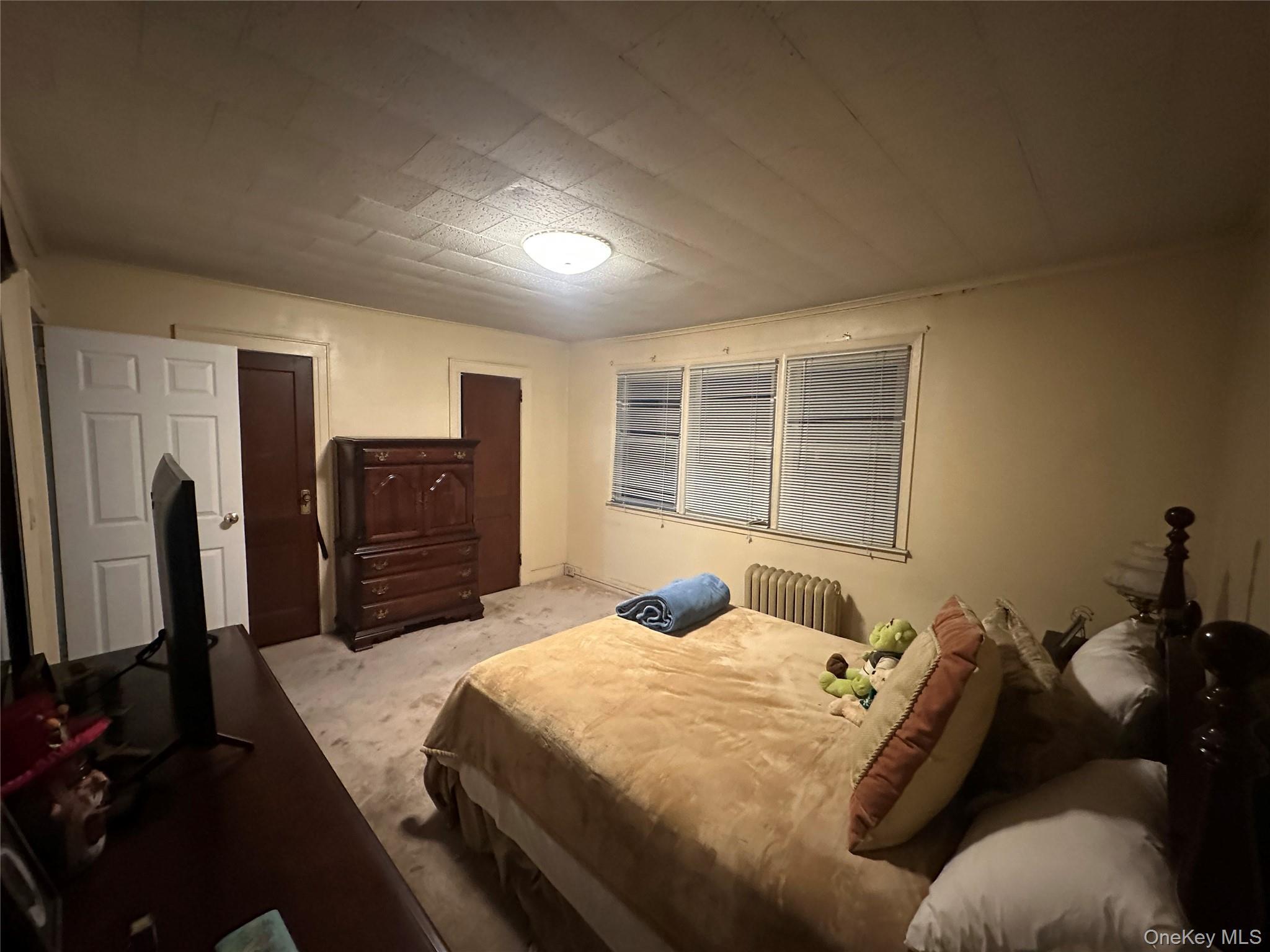 Single Family 99th  Queens, NY 11414, MLS-933738-7