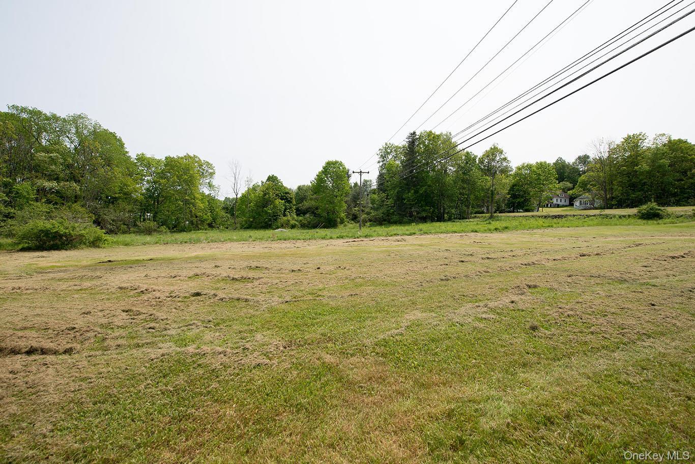 Single Family Old Route 17  Sullivan County, NY 12734, MLS-933751-27