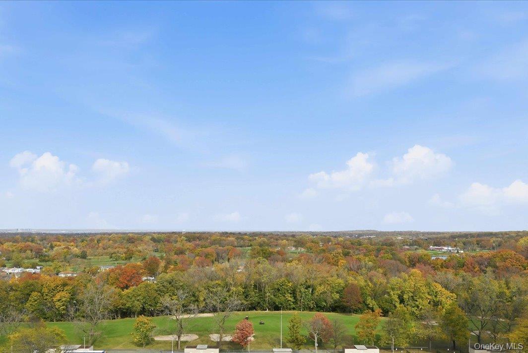 Coop Grand Central  Queens, NY 11005, MLS-933759-23