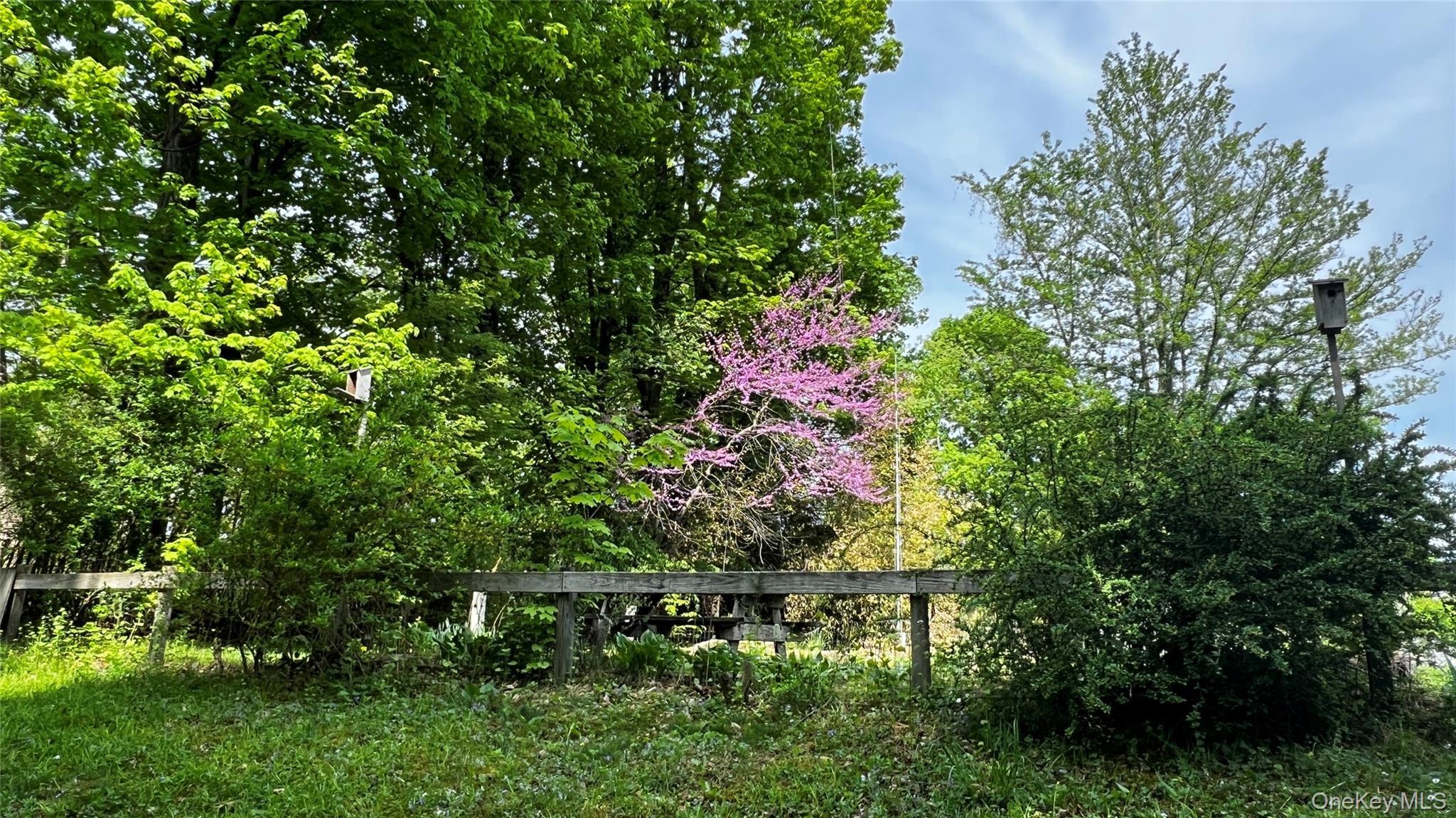 Single Family Spruce  Ulster County, NY 12446, MLS-933772-9