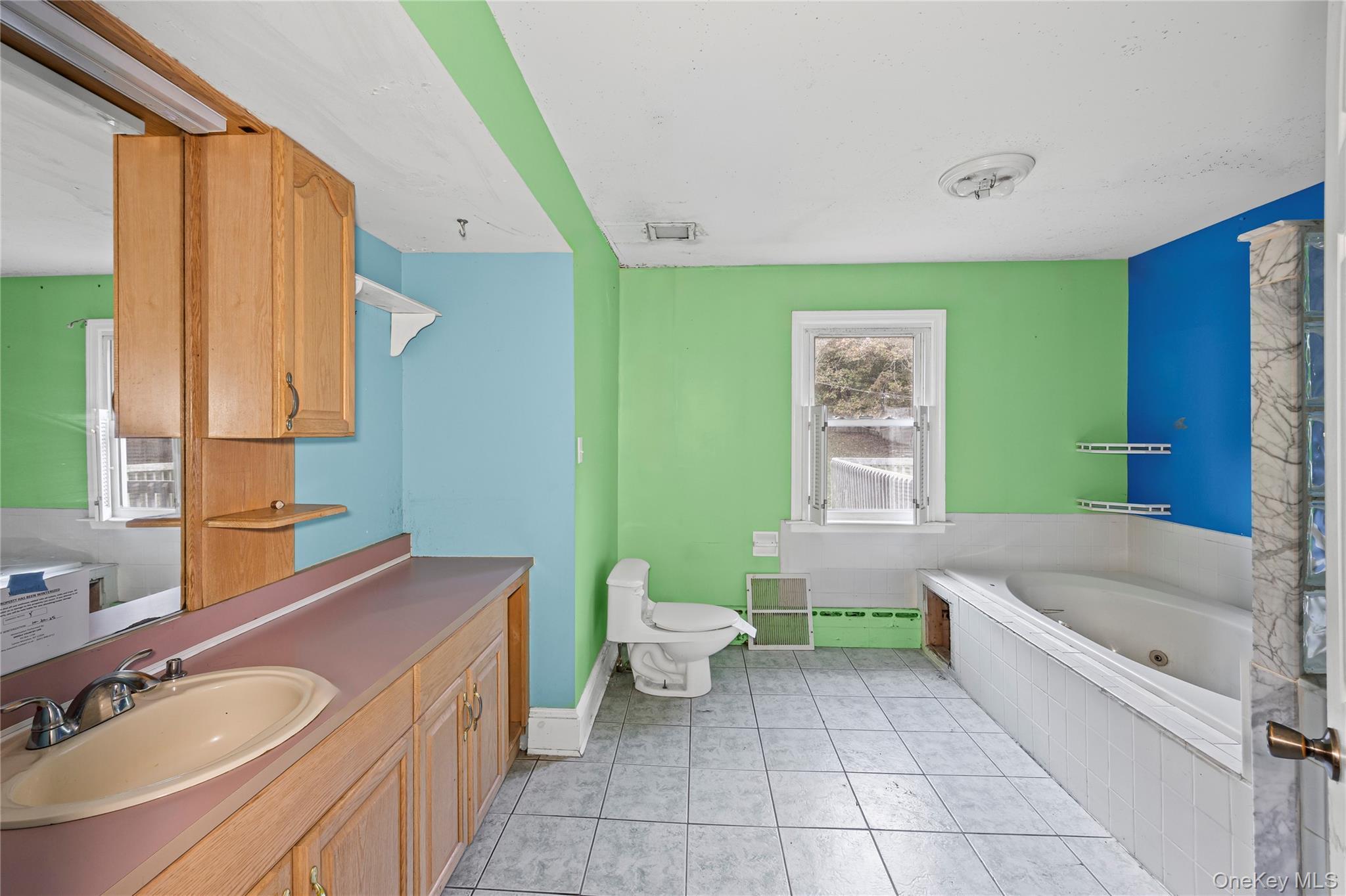 Single Family West  Suffolk County, NY 11953, MLS-933814-17