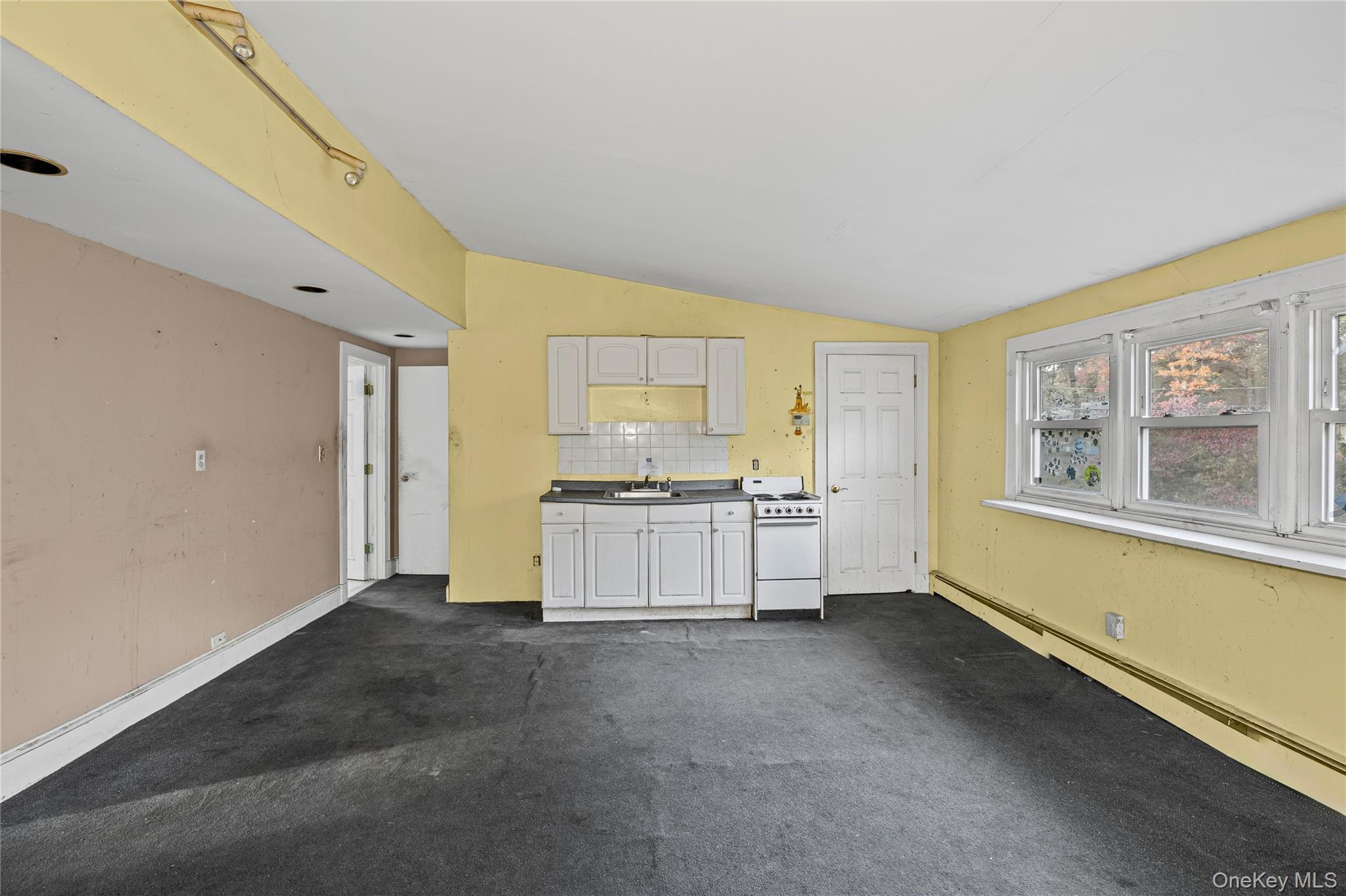 Single Family West  Suffolk County, NY 11953, MLS-933814-26