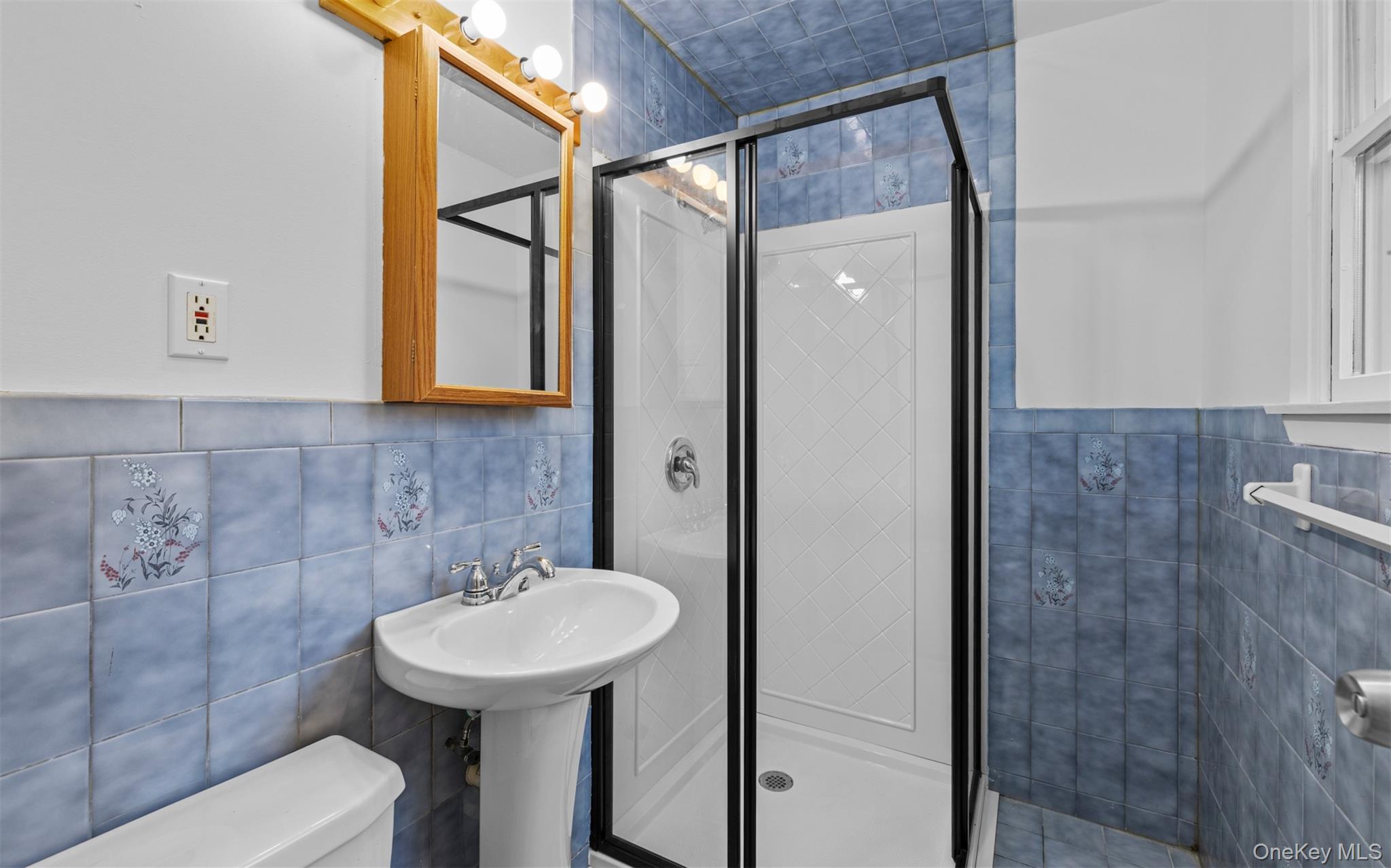 Single Family Pond Suffolk County, NY 11961, MLS-933864-14