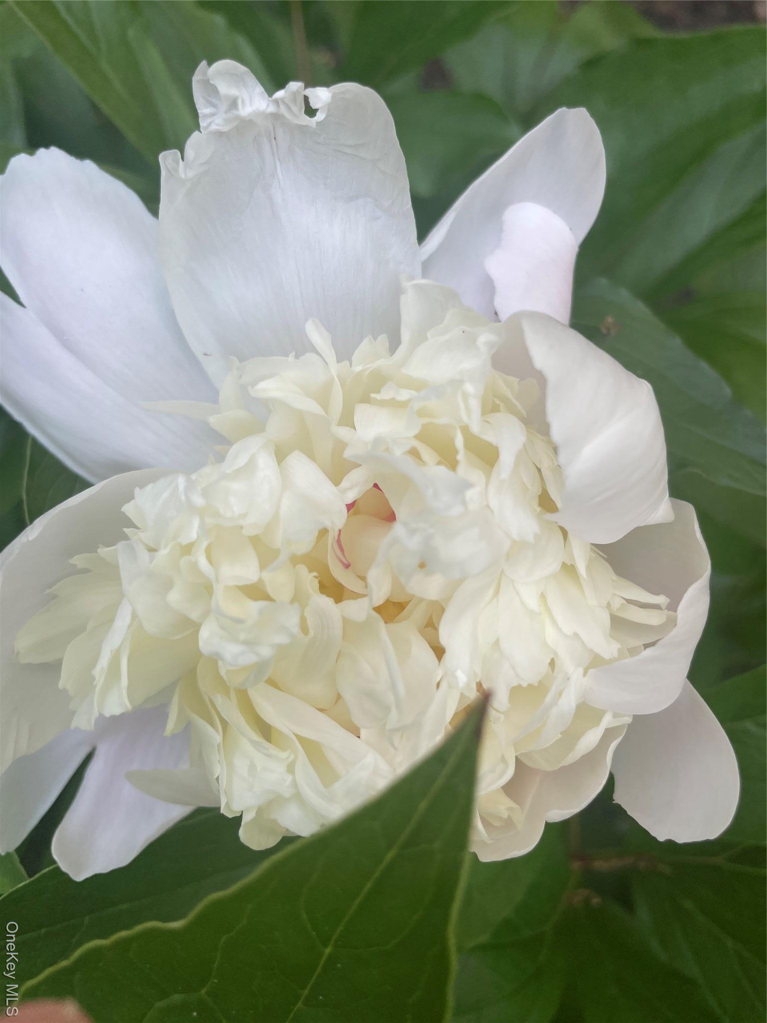 Single Family Hickory Hill Rockland County, NY 10983, MLS-933894-36