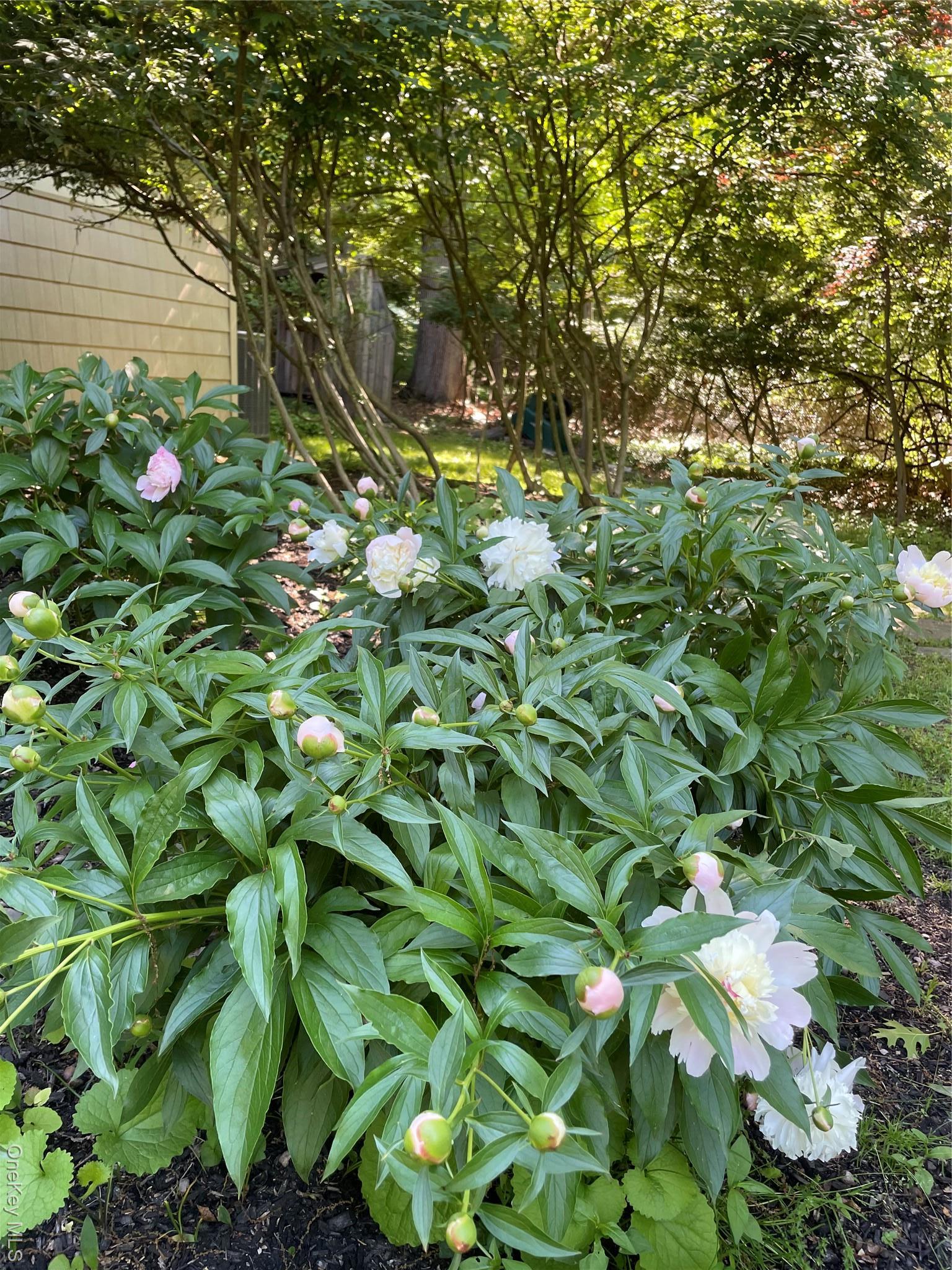 Single Family Hickory Hill Rockland County, NY 10983, MLS-933894-38