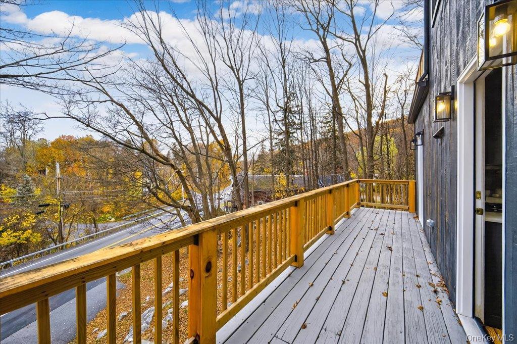 Single Family Route 52 Putnam County, NY 10512, MLS-933896-29