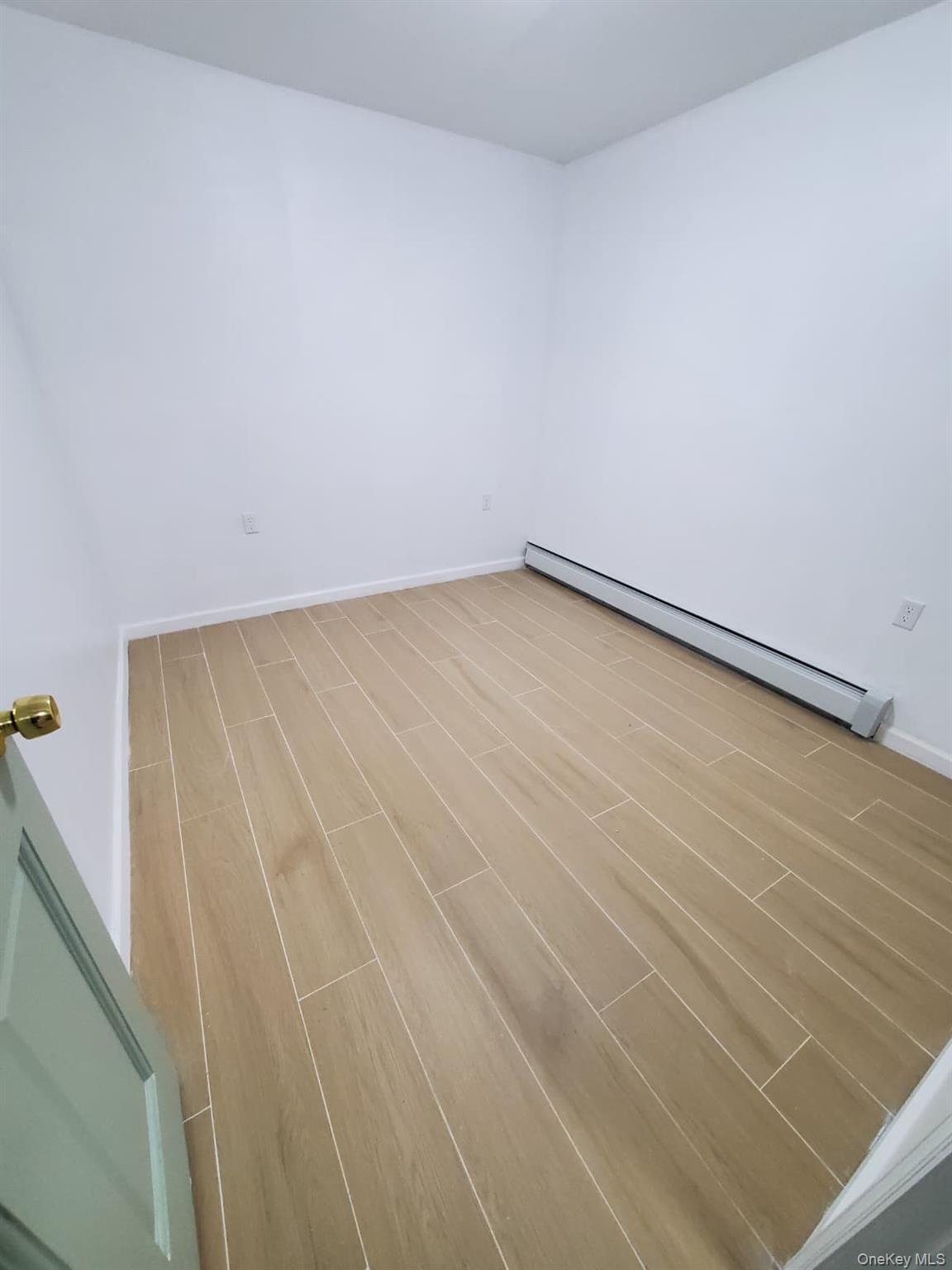 Single Family Blair Ave  Bronx, NY 10465, MLS-933937-8