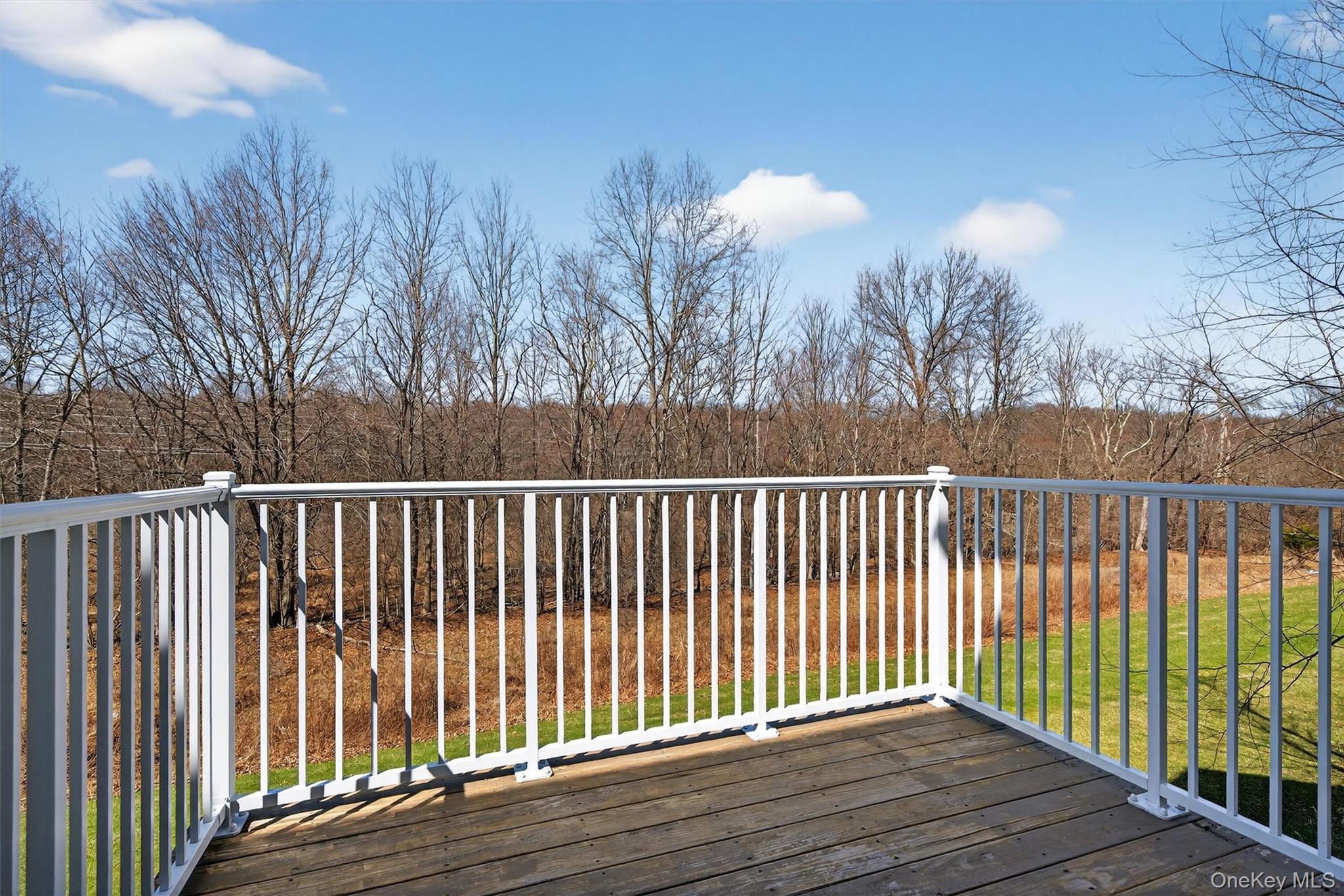 Single Family Meadow View  Orange County, NY 10940, MLS-934102-37