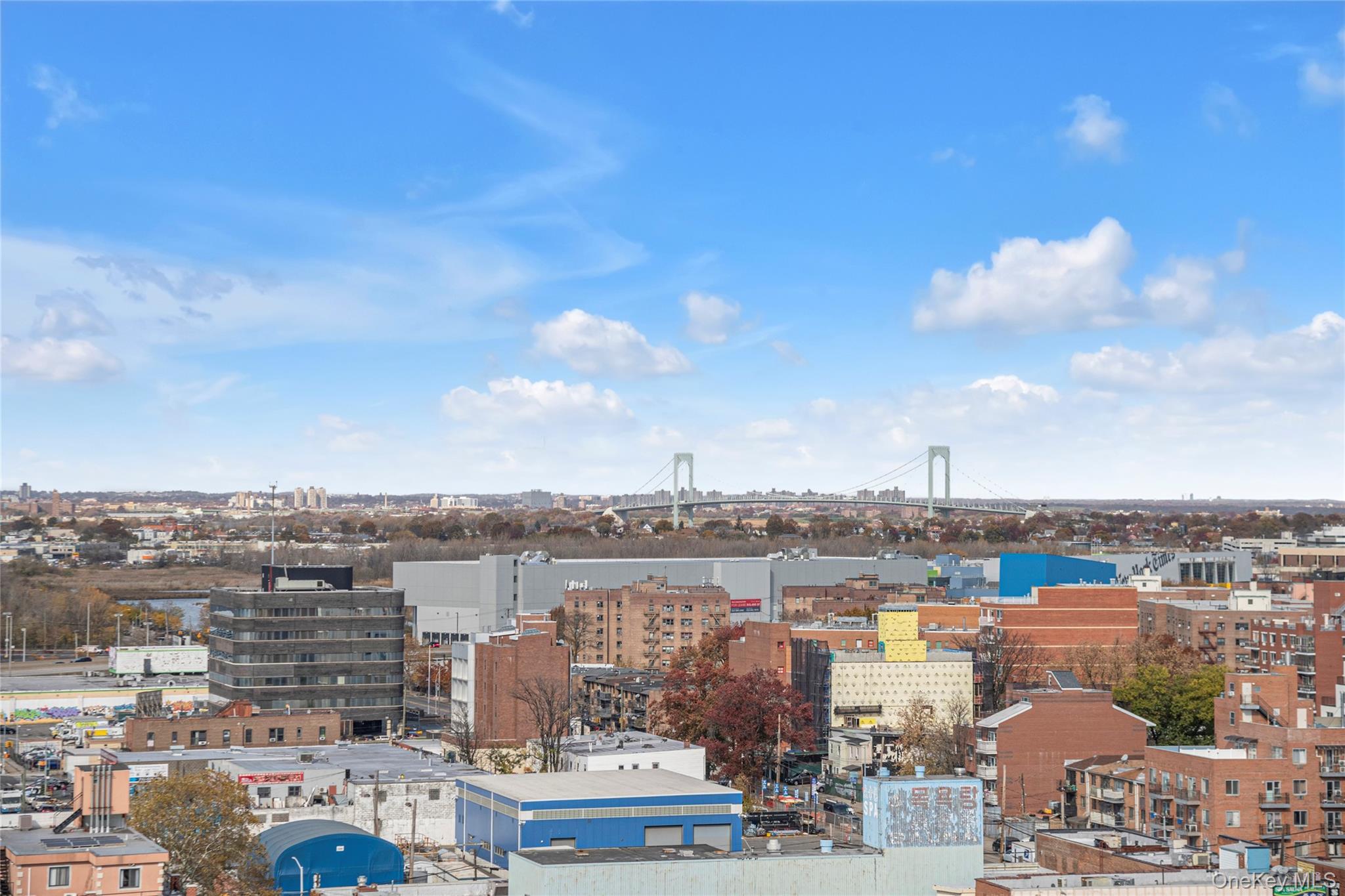 Condo 35th Ave  Queens, NY 11654, MLS-934126-13