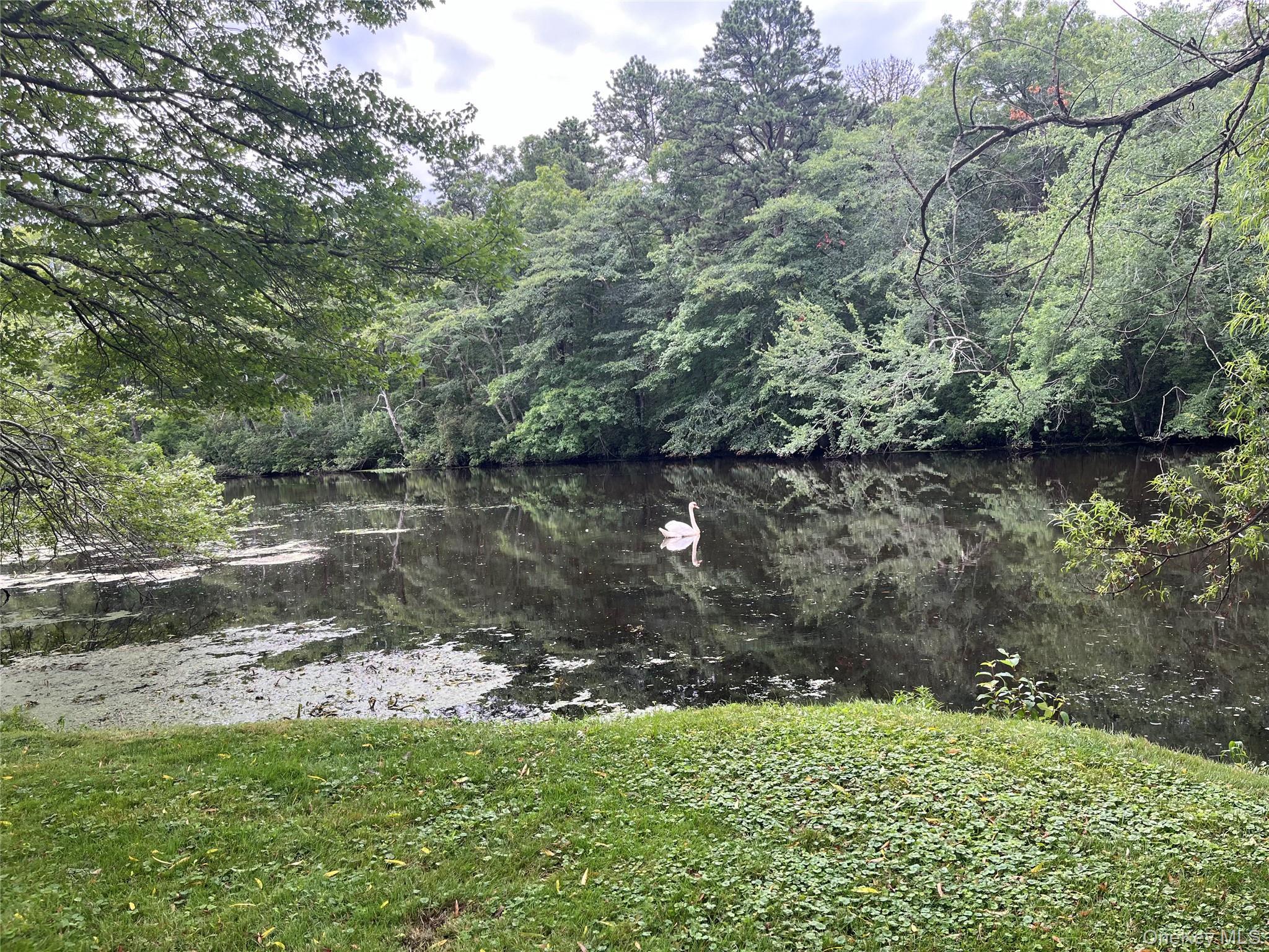 Single Family Forge Suffolk County, NY 11901, MLS-934144-33