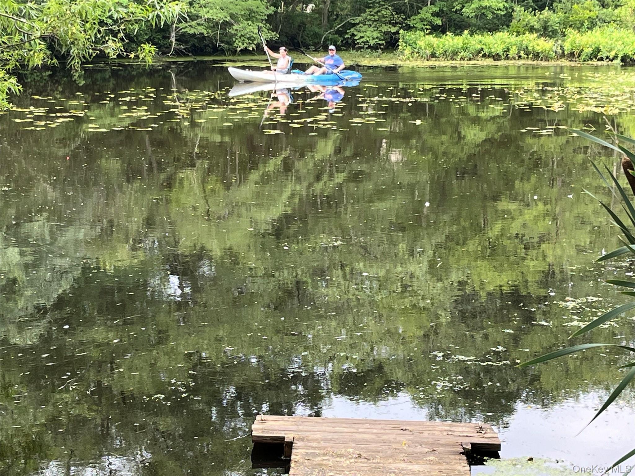 Single Family Forge Suffolk County, NY 11901, MLS-934144-37