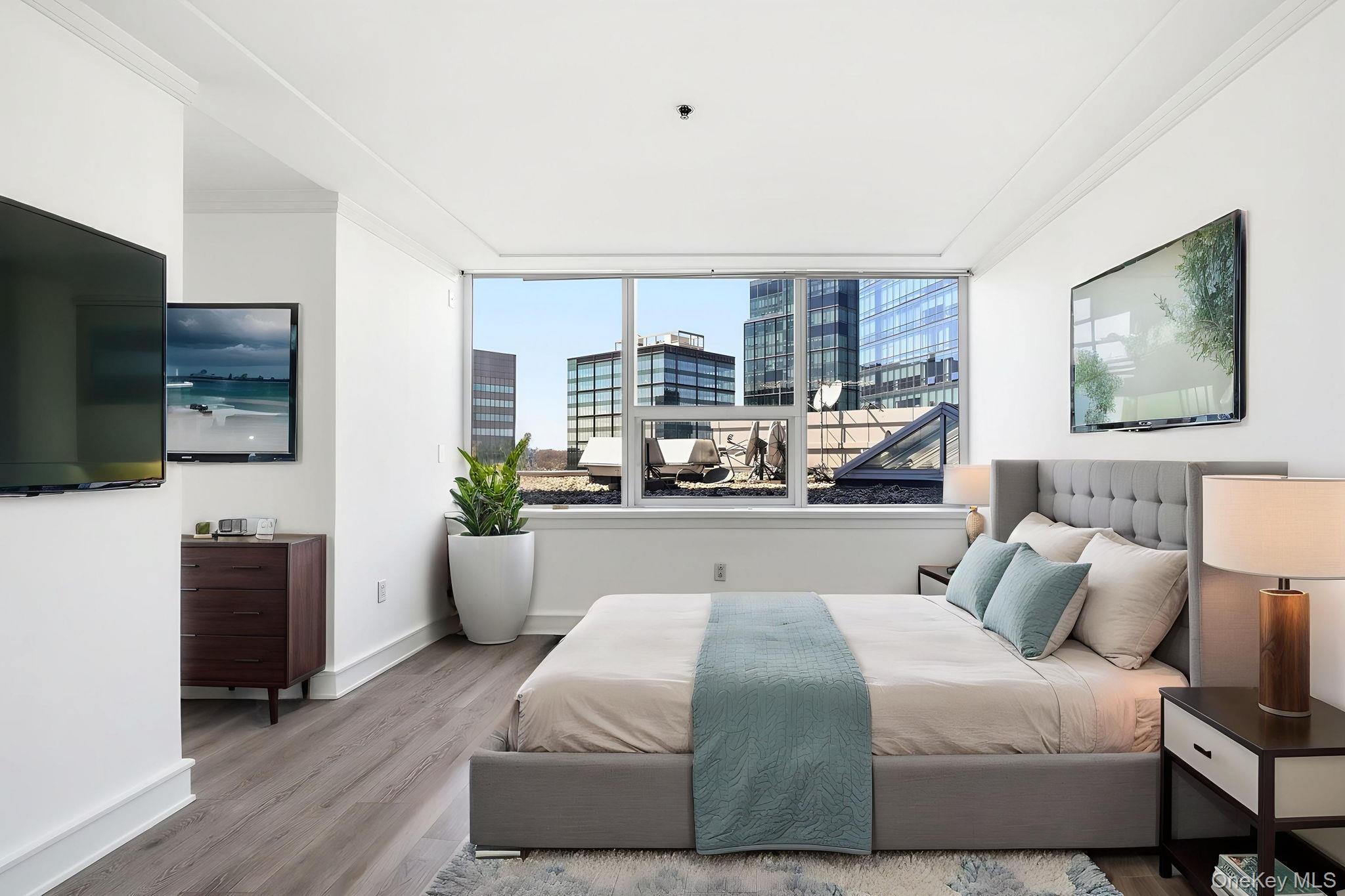 Condo Renaissance  Westchester County, NY 10601, MLS-934156-14