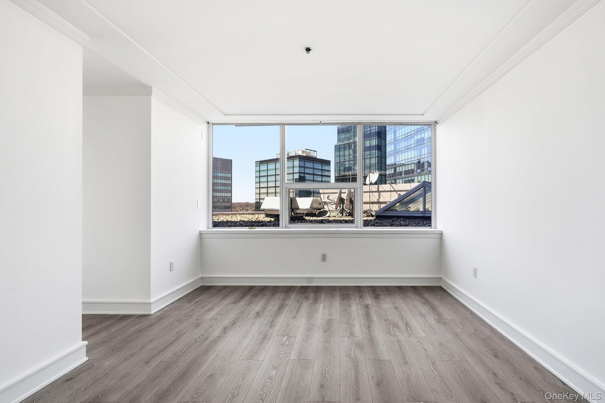 Condo Renaissance  Westchester County, NY 10601, MLS-934156-15