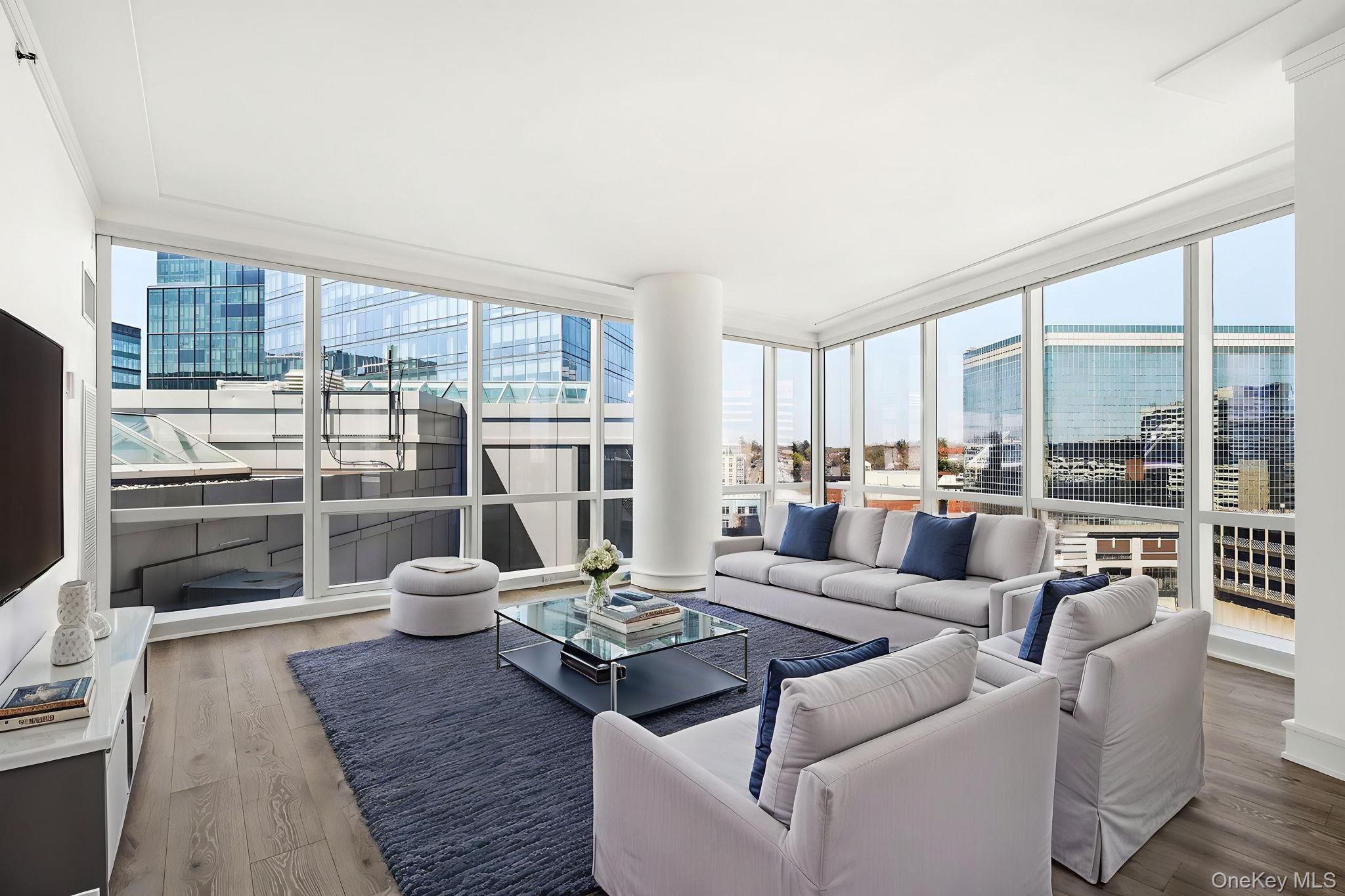 Condo Renaissance  Westchester County, NY 10601, MLS-934156-2