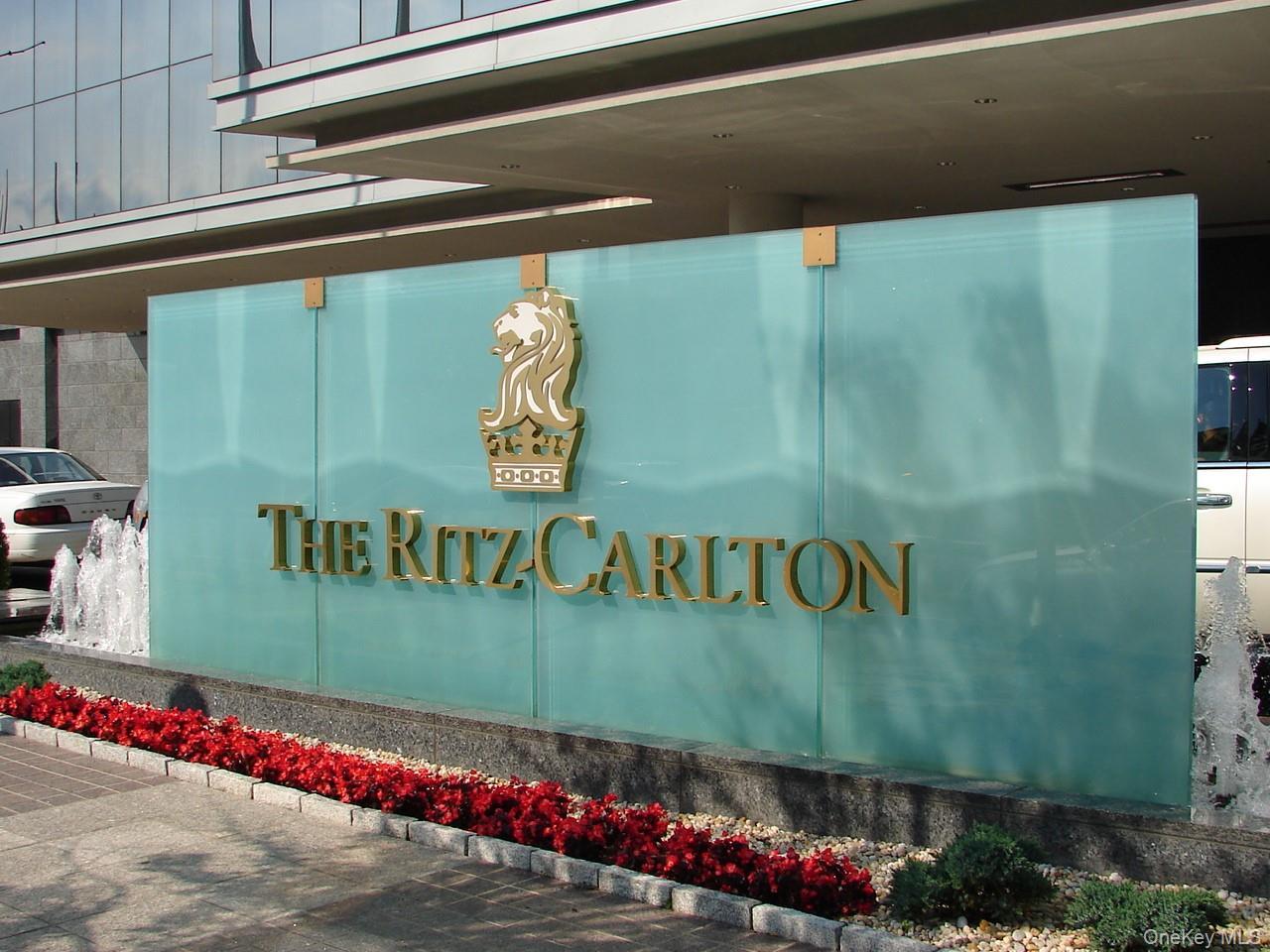 Condo Renaissance  Westchester County, NY 10601, MLS-934156-28