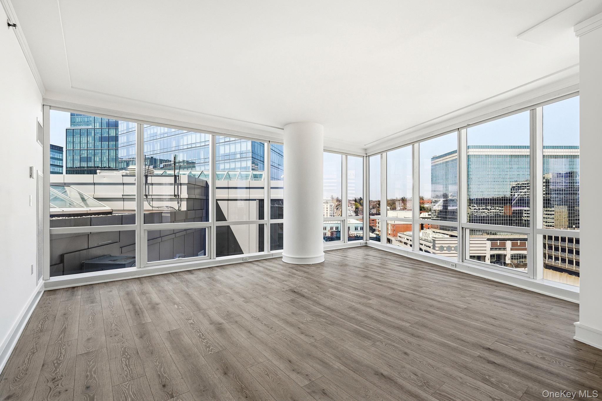 Condo Renaissance  Westchester County, NY 10601, MLS-934156-4