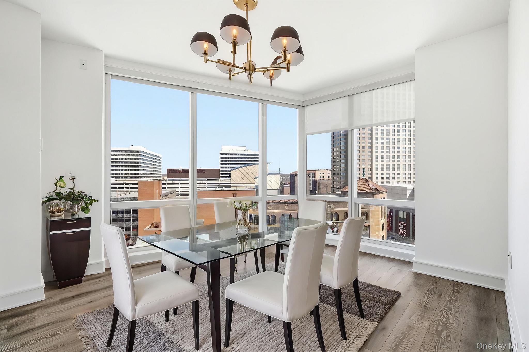 Condo Renaissance  Westchester County, NY 10601, MLS-934156-8