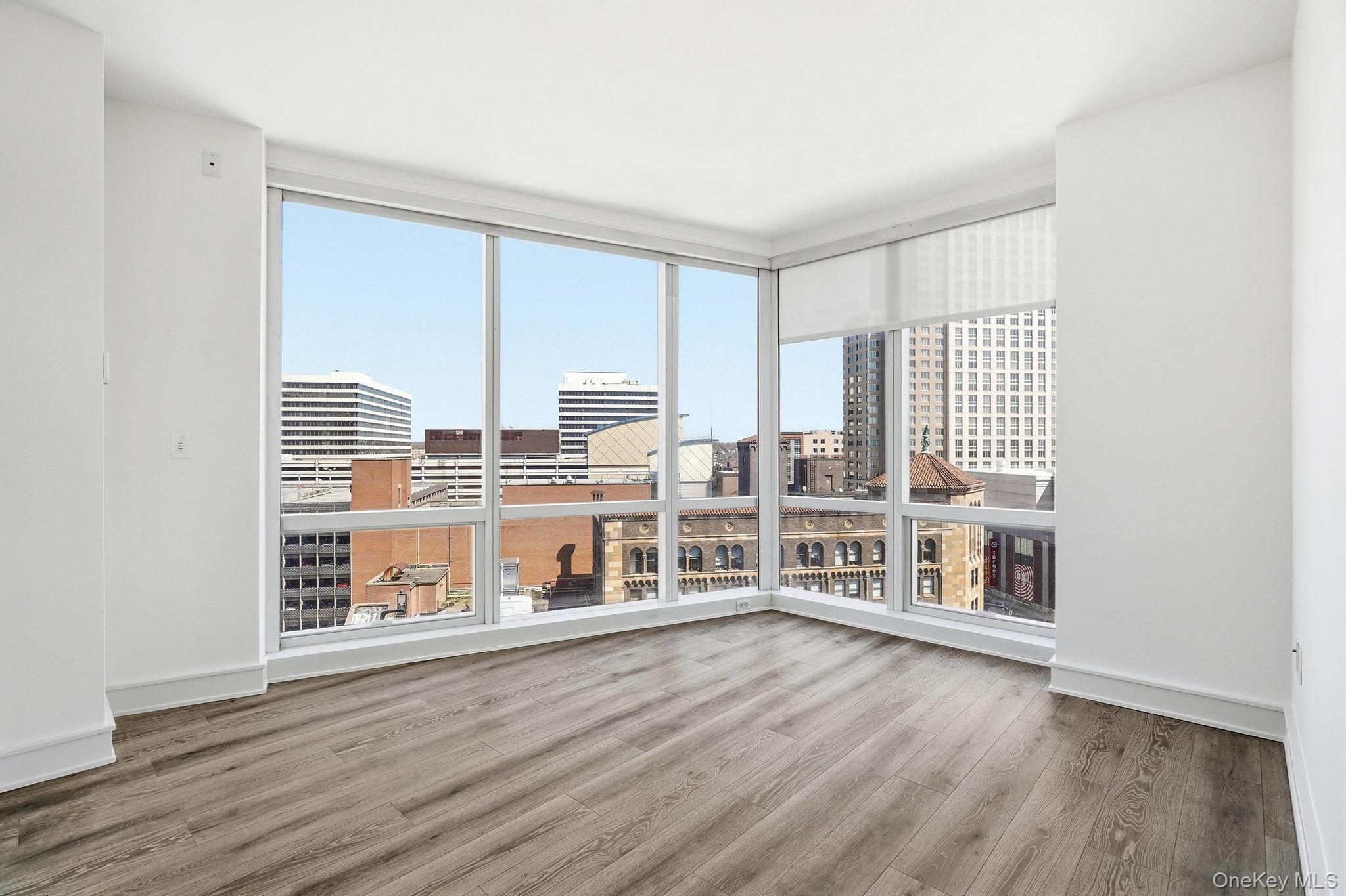 Condo Renaissance  Westchester County, NY 10601, MLS-934156-9