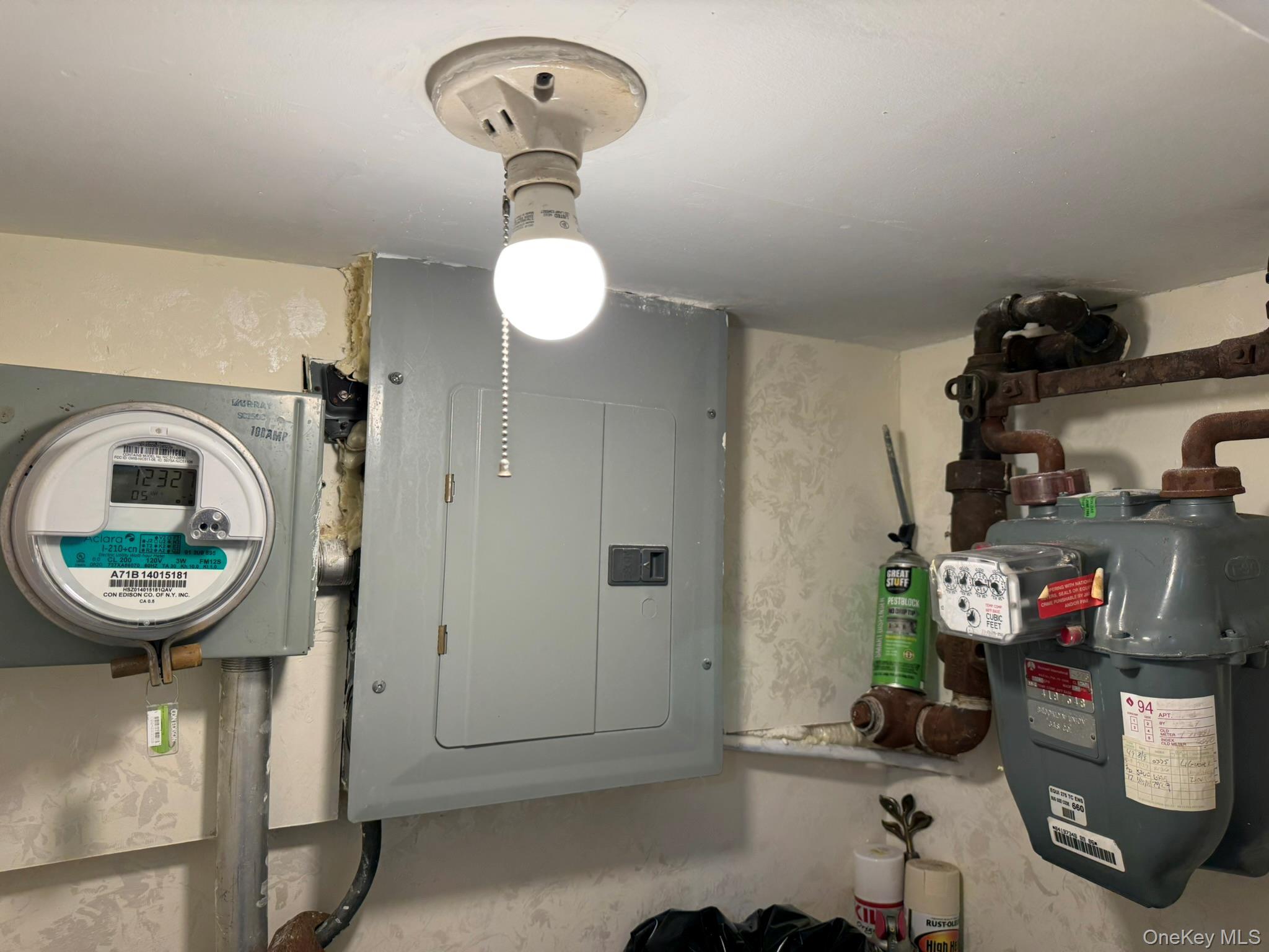 Single Family Hoover  Queens, NY 11435, MLS-934159-16