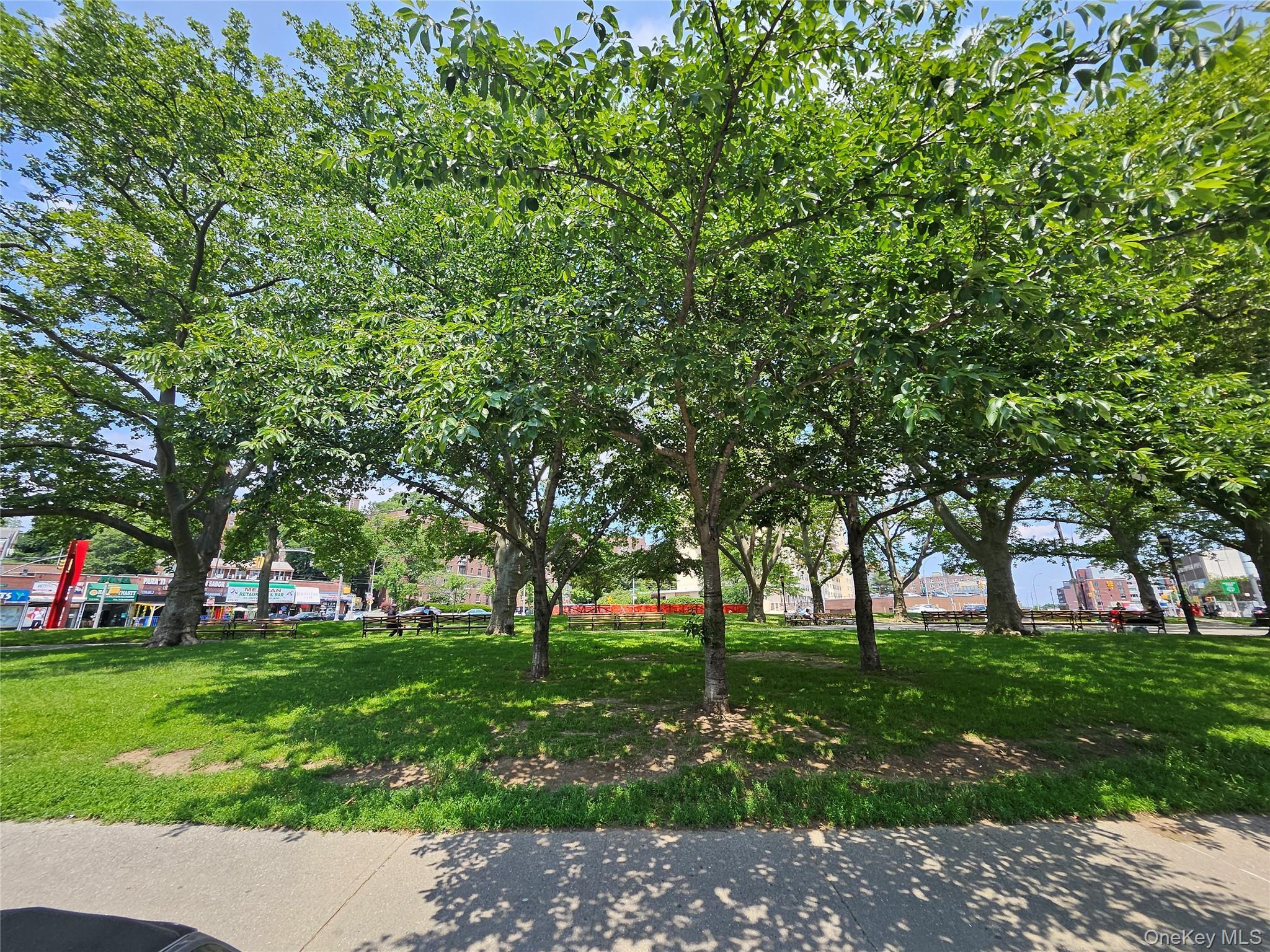 Coop 173 Street  Queens, NY 11432, MLS-934183-15