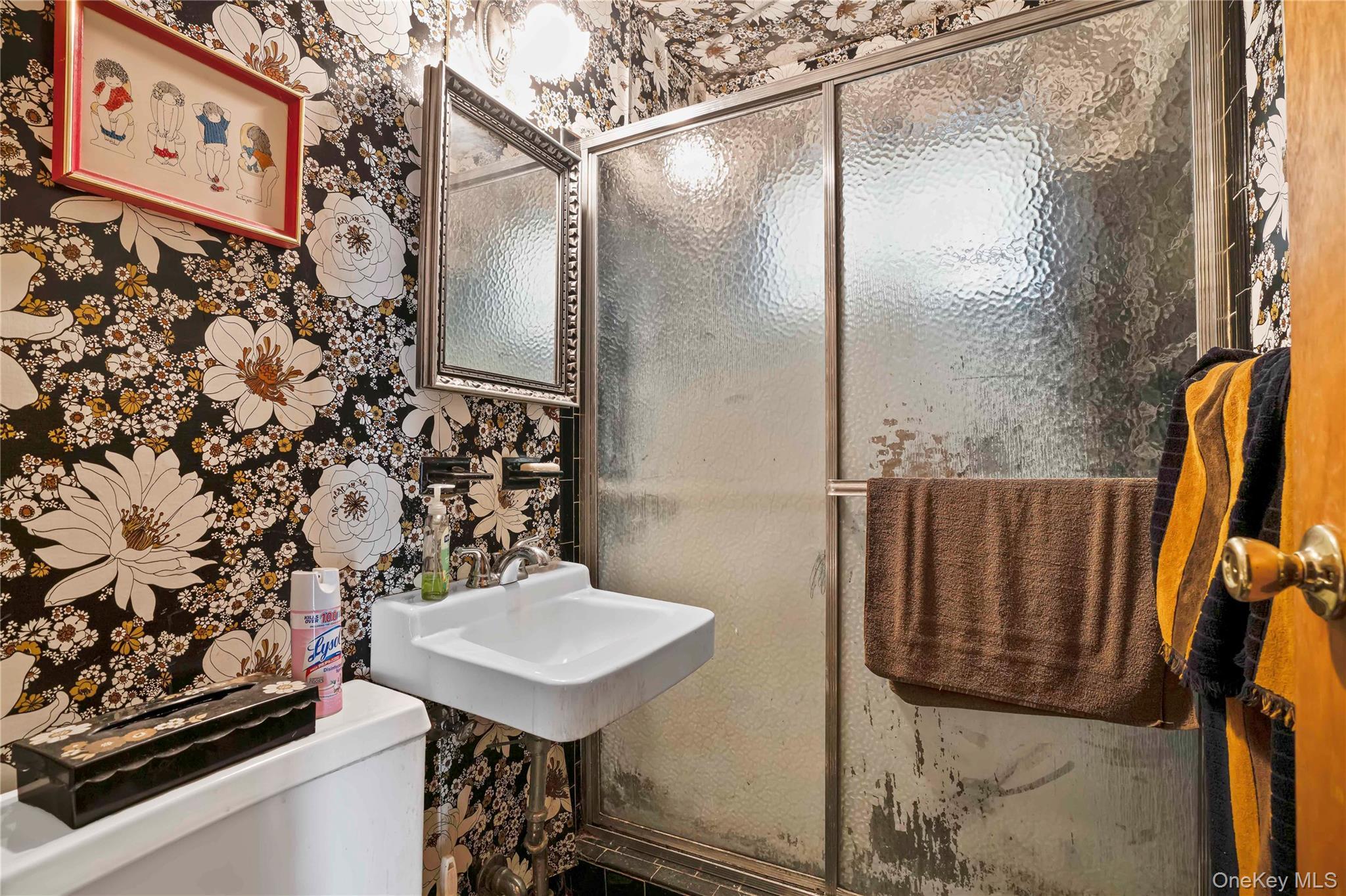 Single Family 83rd Queens, NY 11414, MLS-934249-5