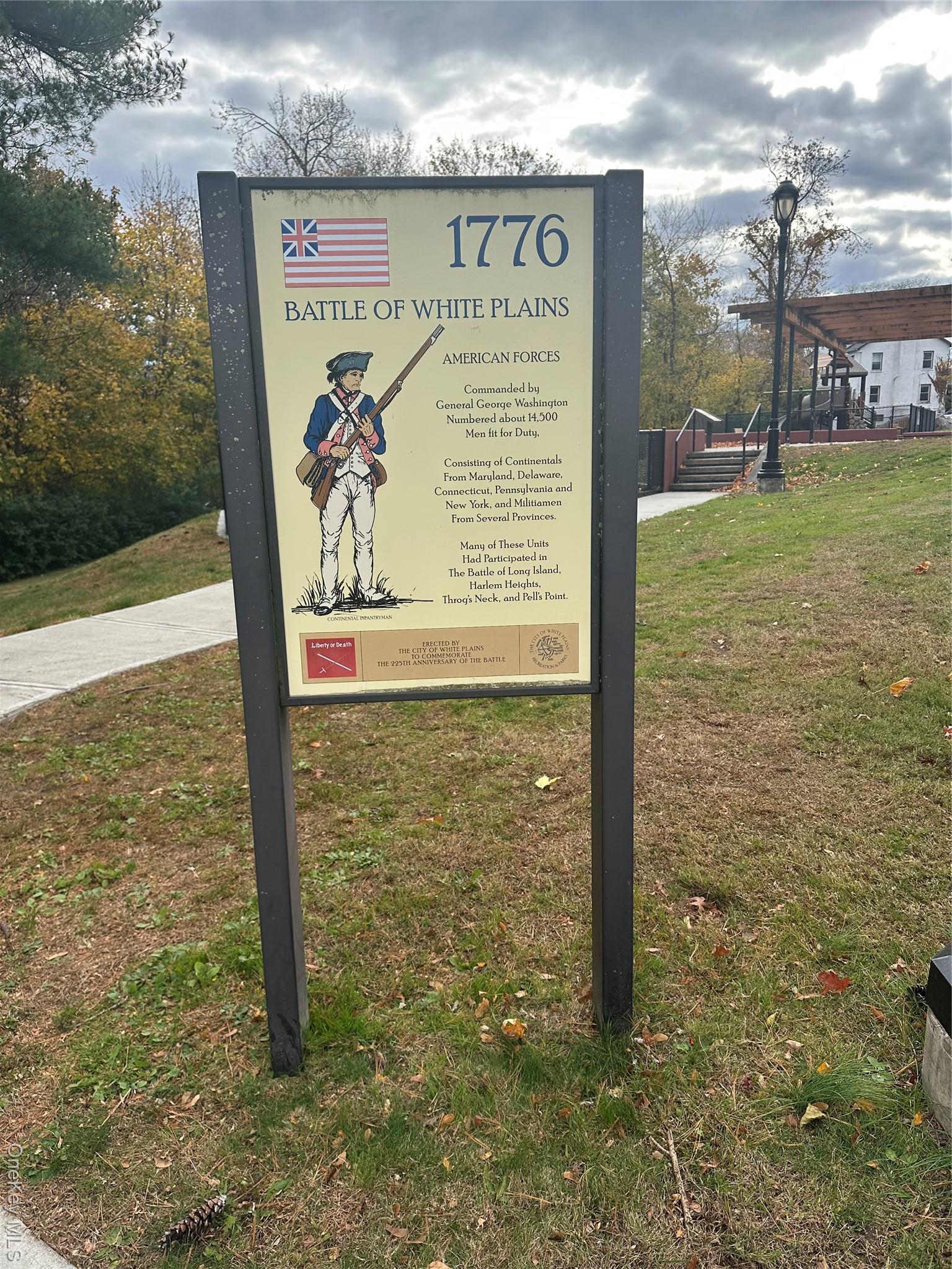 Single Family Battle Westchester County, NY 10606, MLS-934442-27