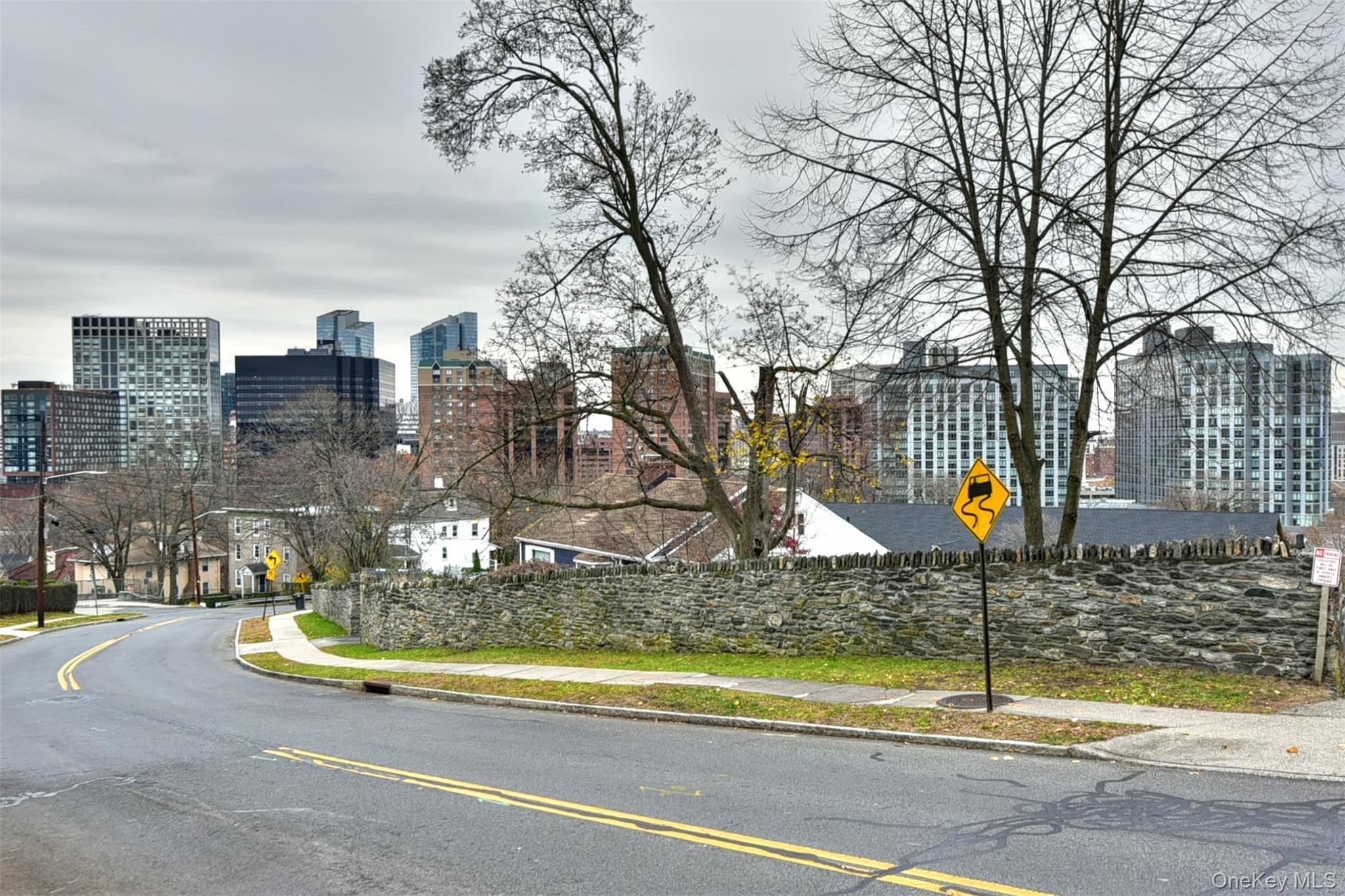 Single Family Battle Westchester County, NY 10606, MLS-934442-28