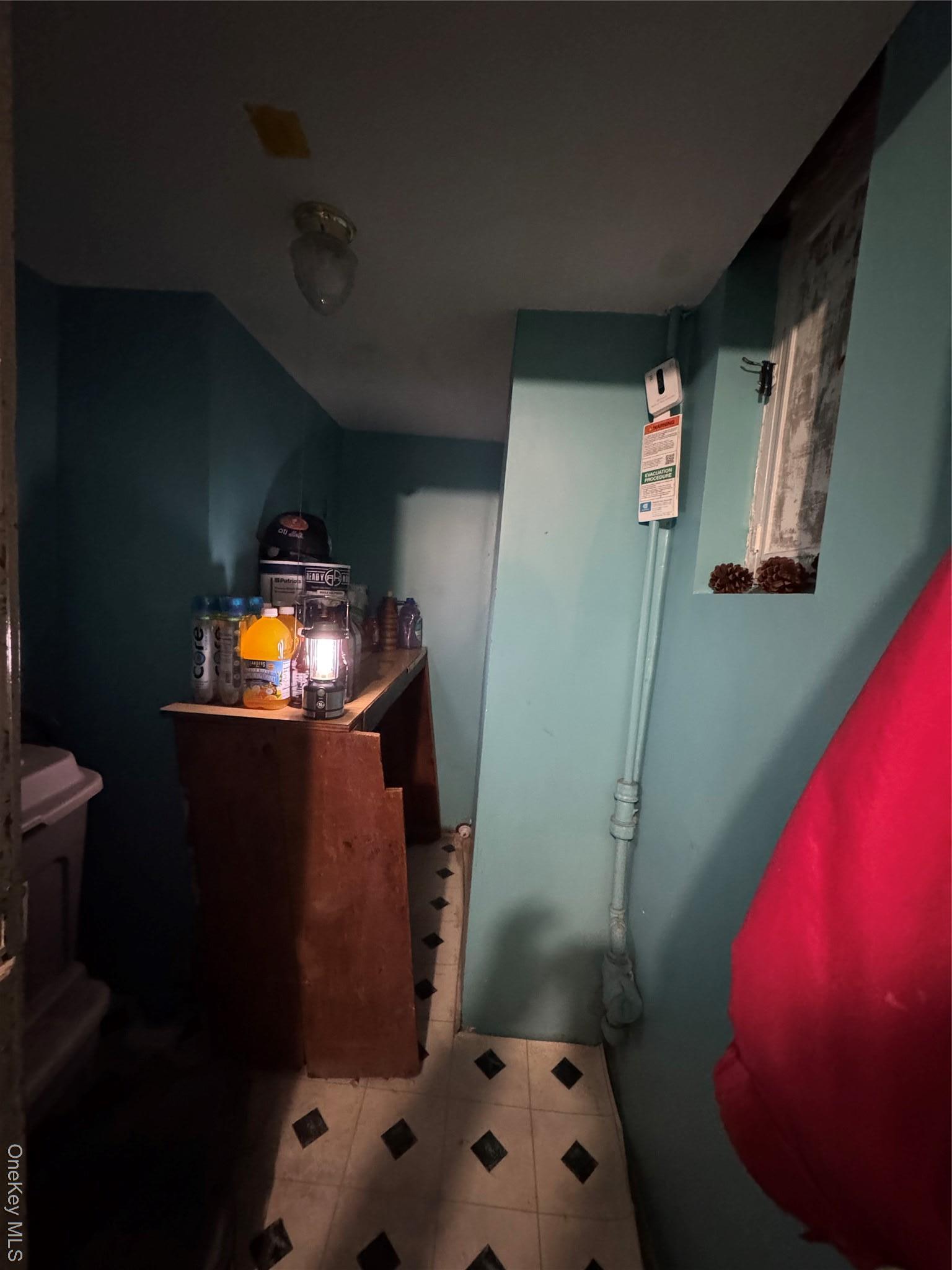 Single Family 222nd Bronx, NY 10469, MLS-934467-30