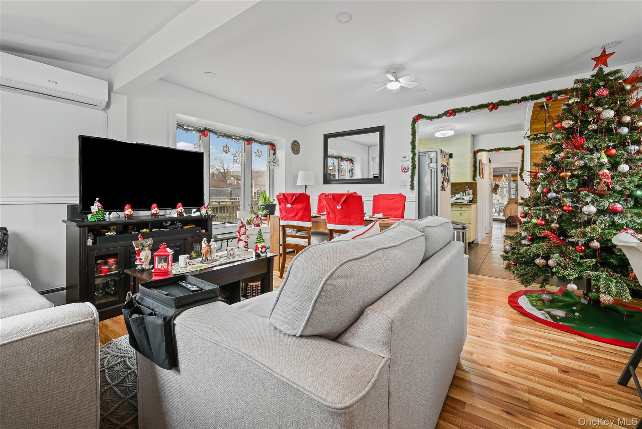 Single Family Chestnut Nassau County, NY 11096, MLS-934552-10