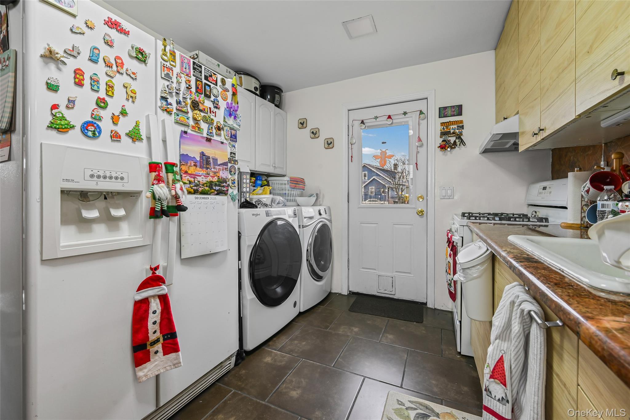 Single Family Chestnut Nassau County, NY 11096, MLS-934552-12