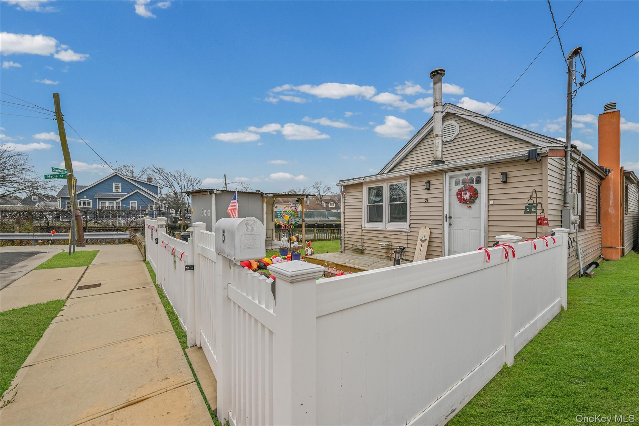 Single Family Chestnut Nassau County, NY 11096, MLS-934552-4