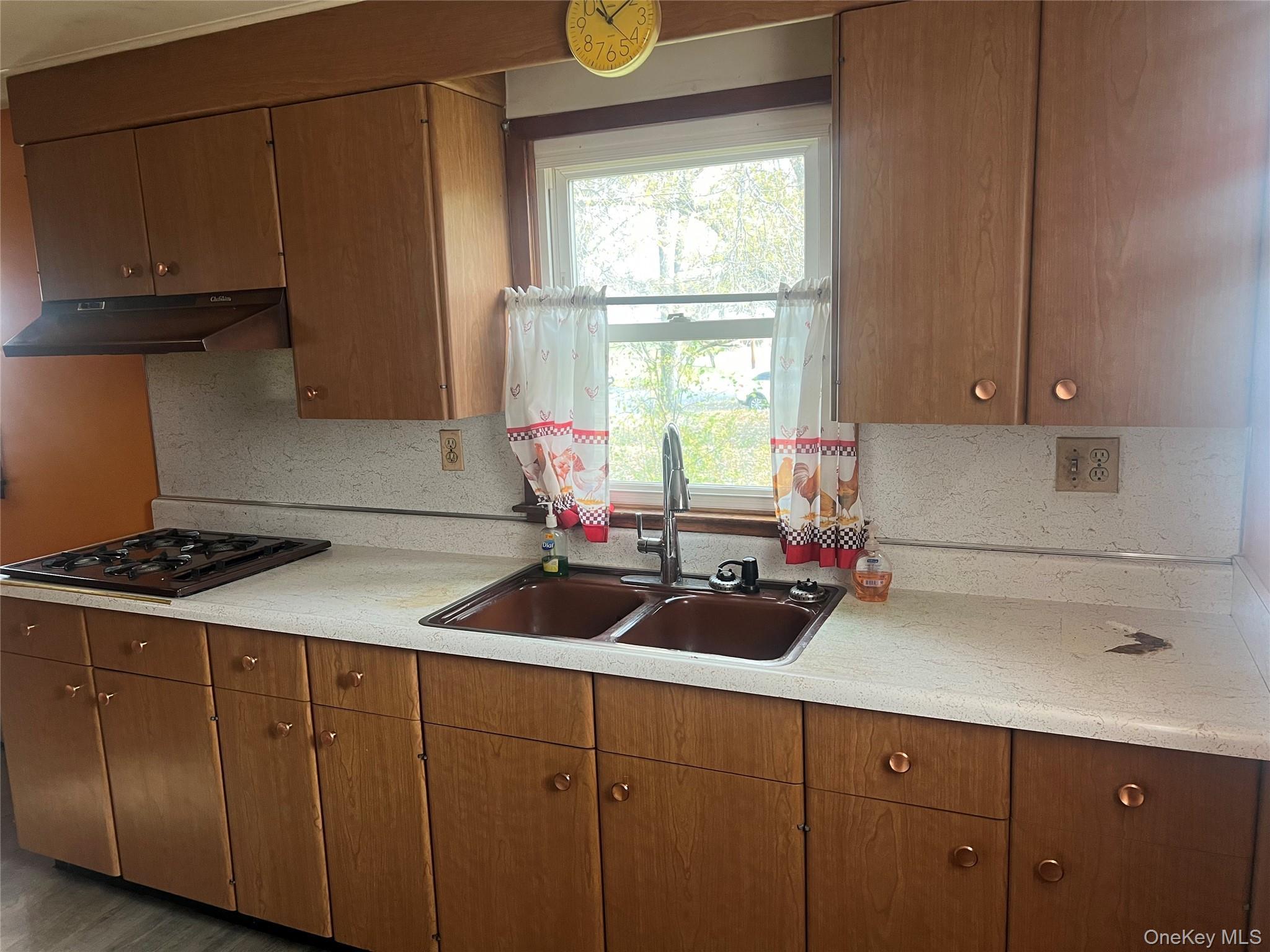 Single Family Coach Orange County, NY 12550, MLS-934607-11