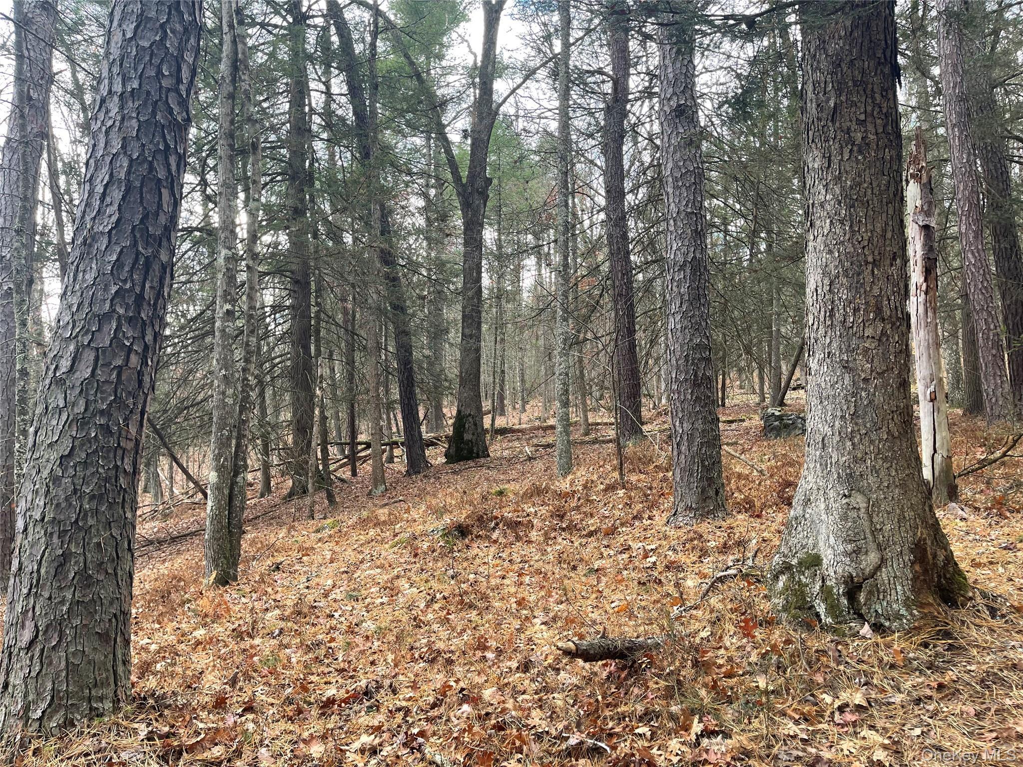 Single Family State Route 97 Sullivan County, NY 12764, MLS-934644-24