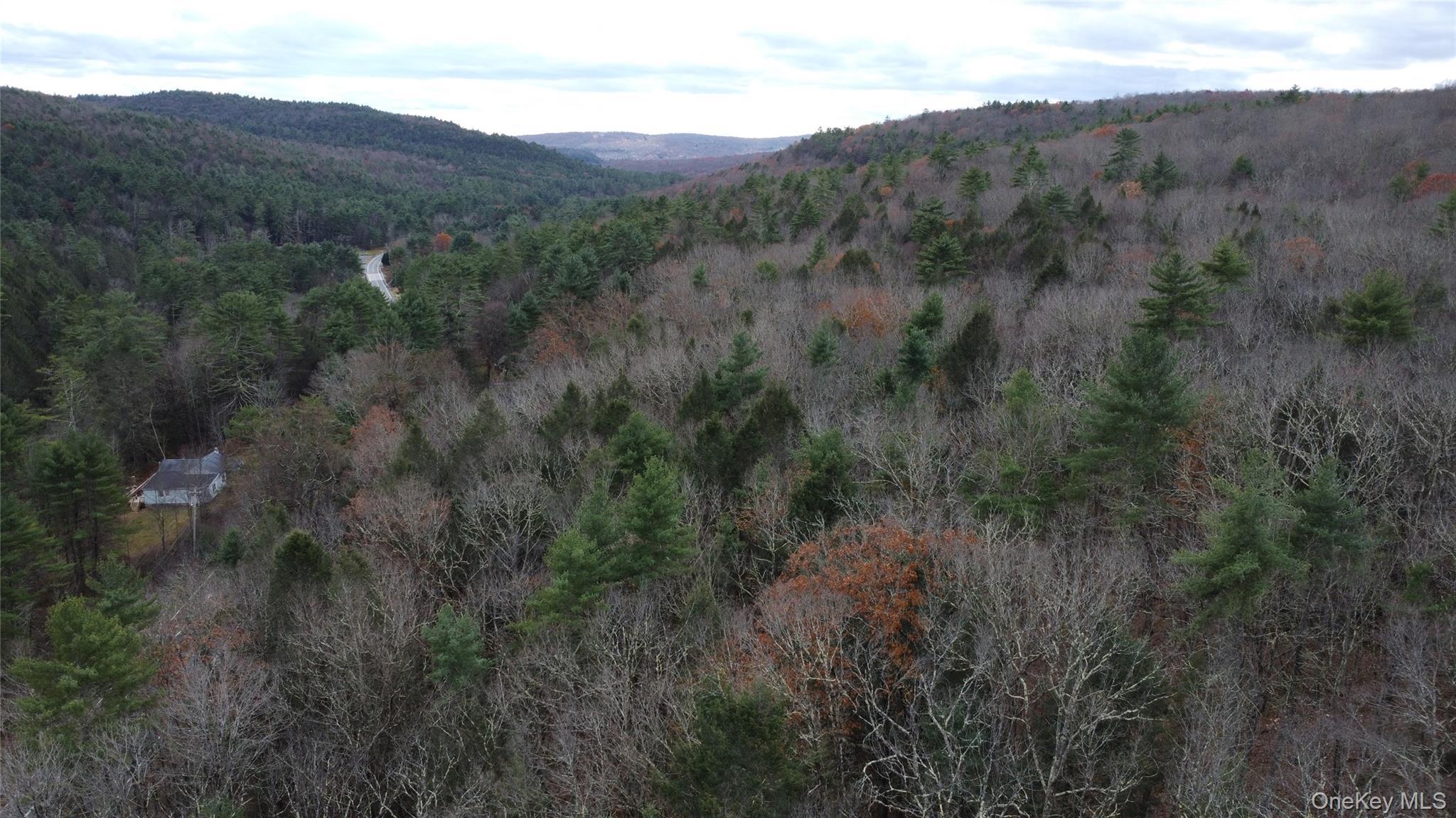 Single Family State Route 97 Sullivan County, NY 12764, MLS-934644-25