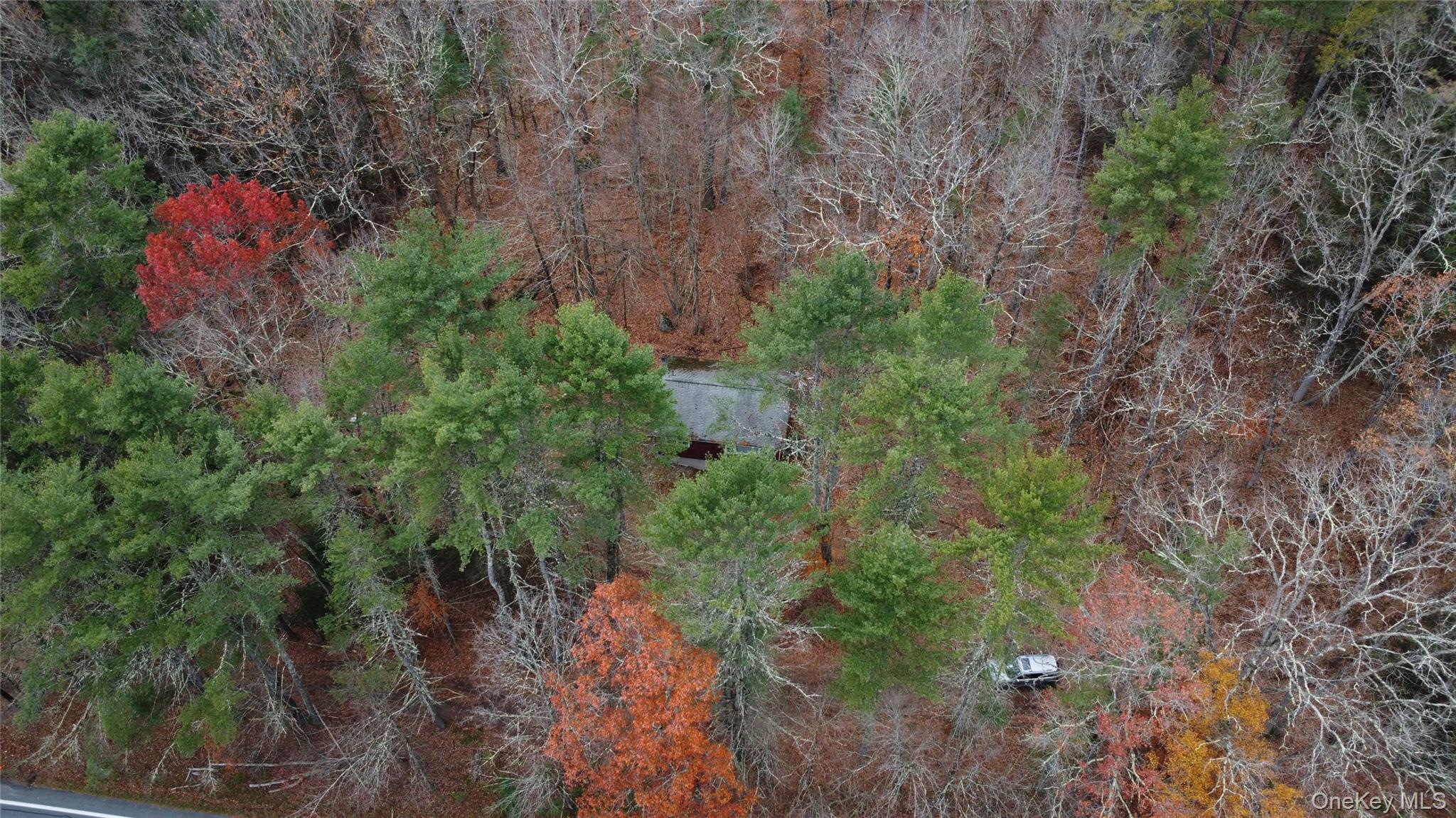 Single Family State Route 97 Sullivan County, NY 12764, MLS-934644-26