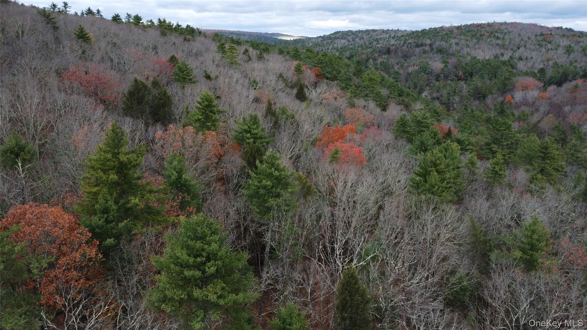 Single Family State Route 97 Sullivan County, NY 12764, MLS-934644-27