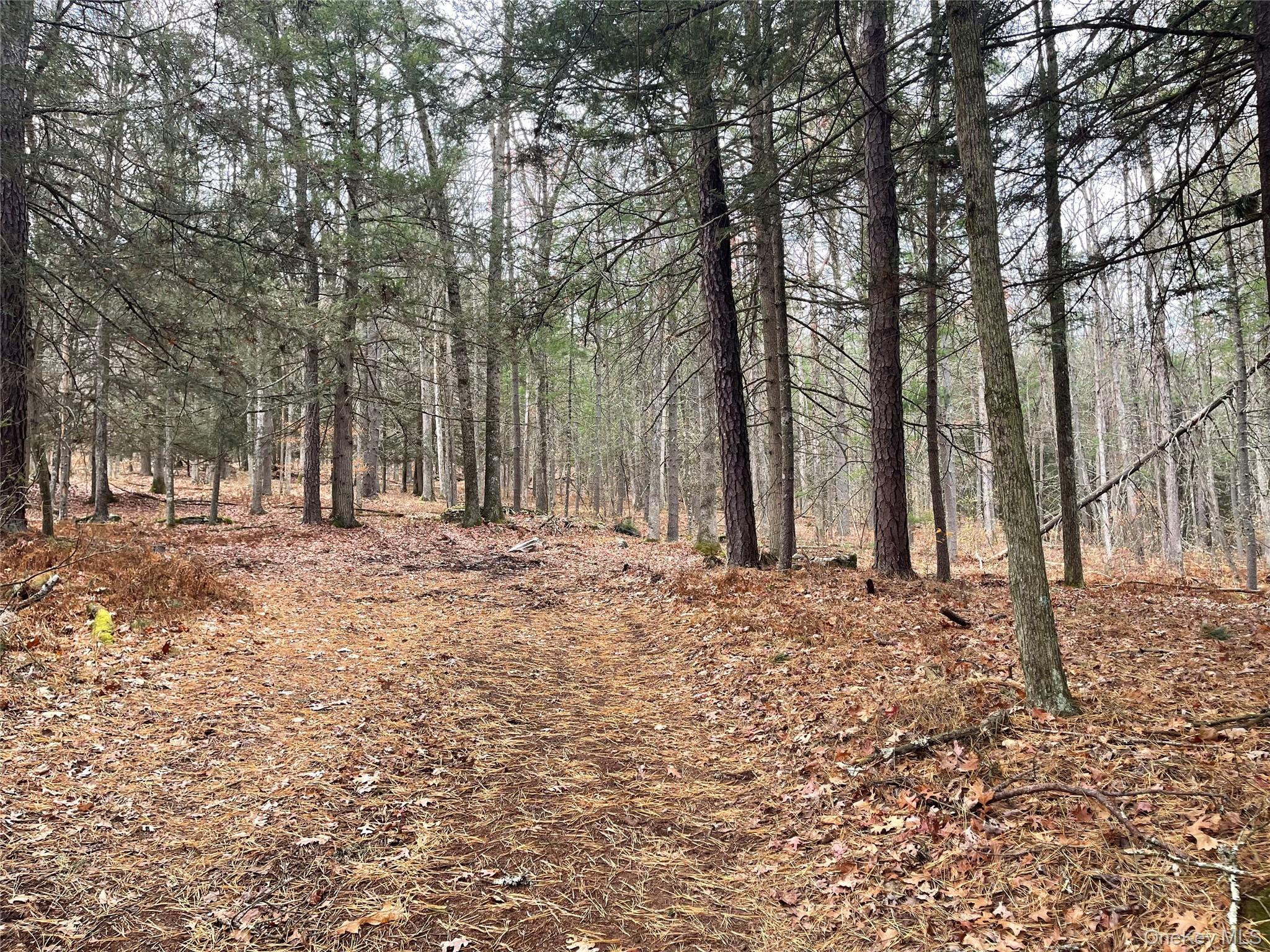 Single Family State Route 97 Sullivan County, NY 12764, MLS-934644-28