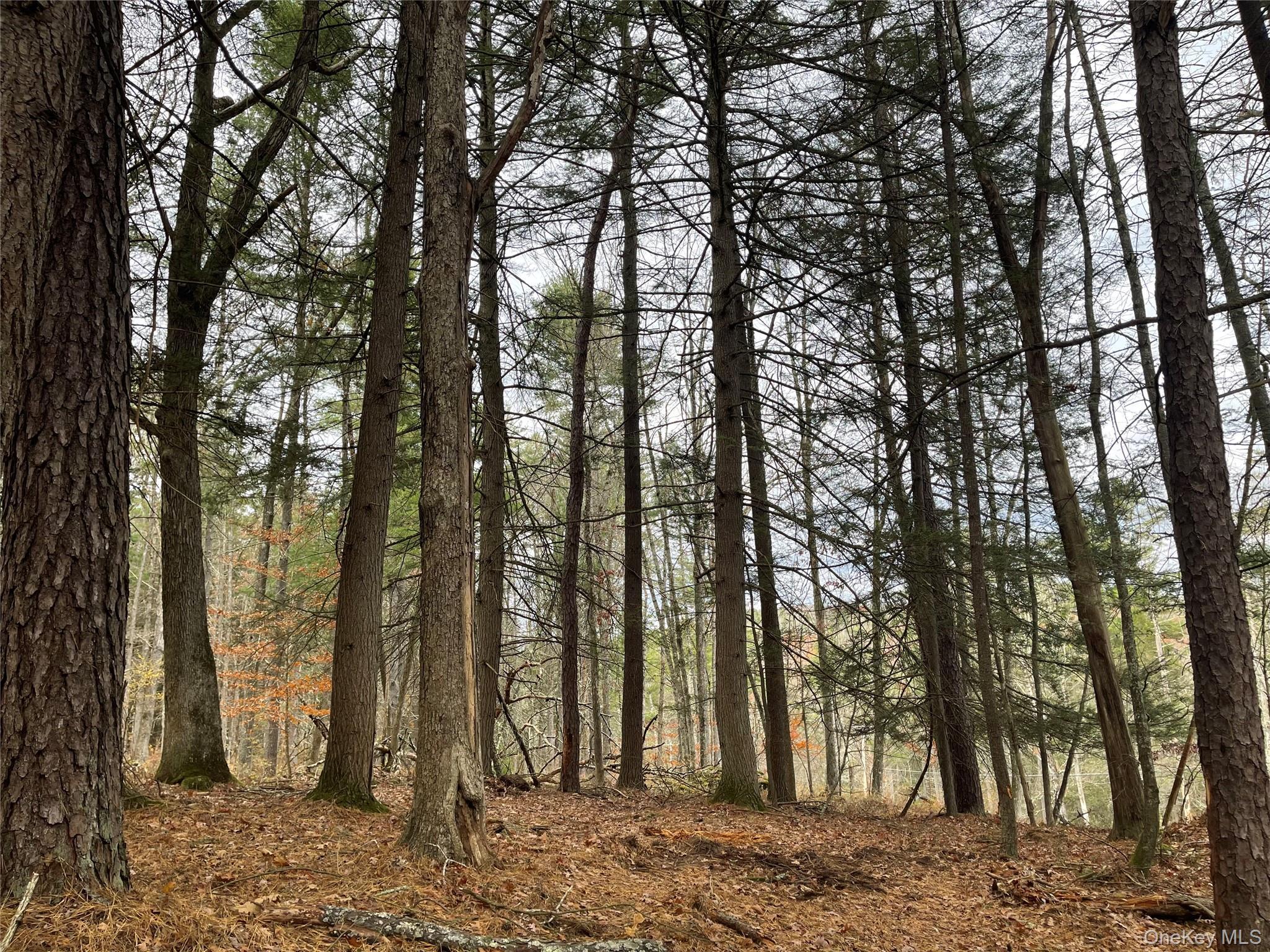 Single Family State Route 97 Sullivan County, NY 12764, MLS-934644-29